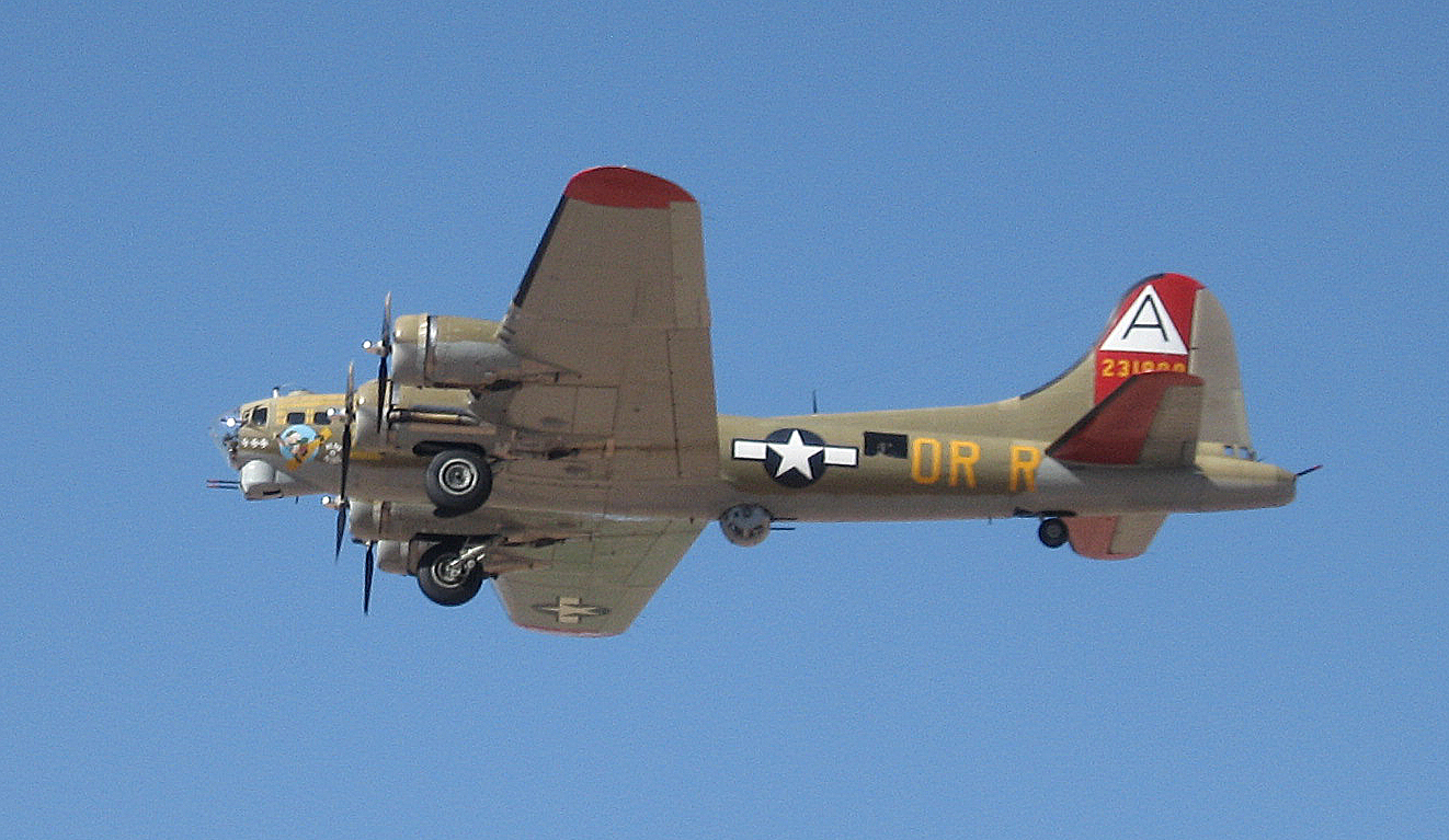  — Warbird