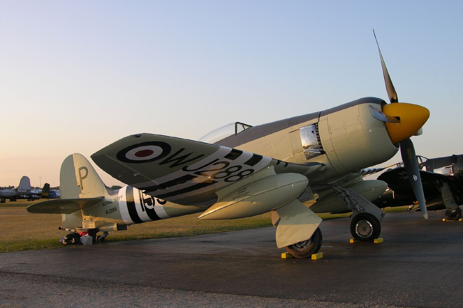  — Warbird