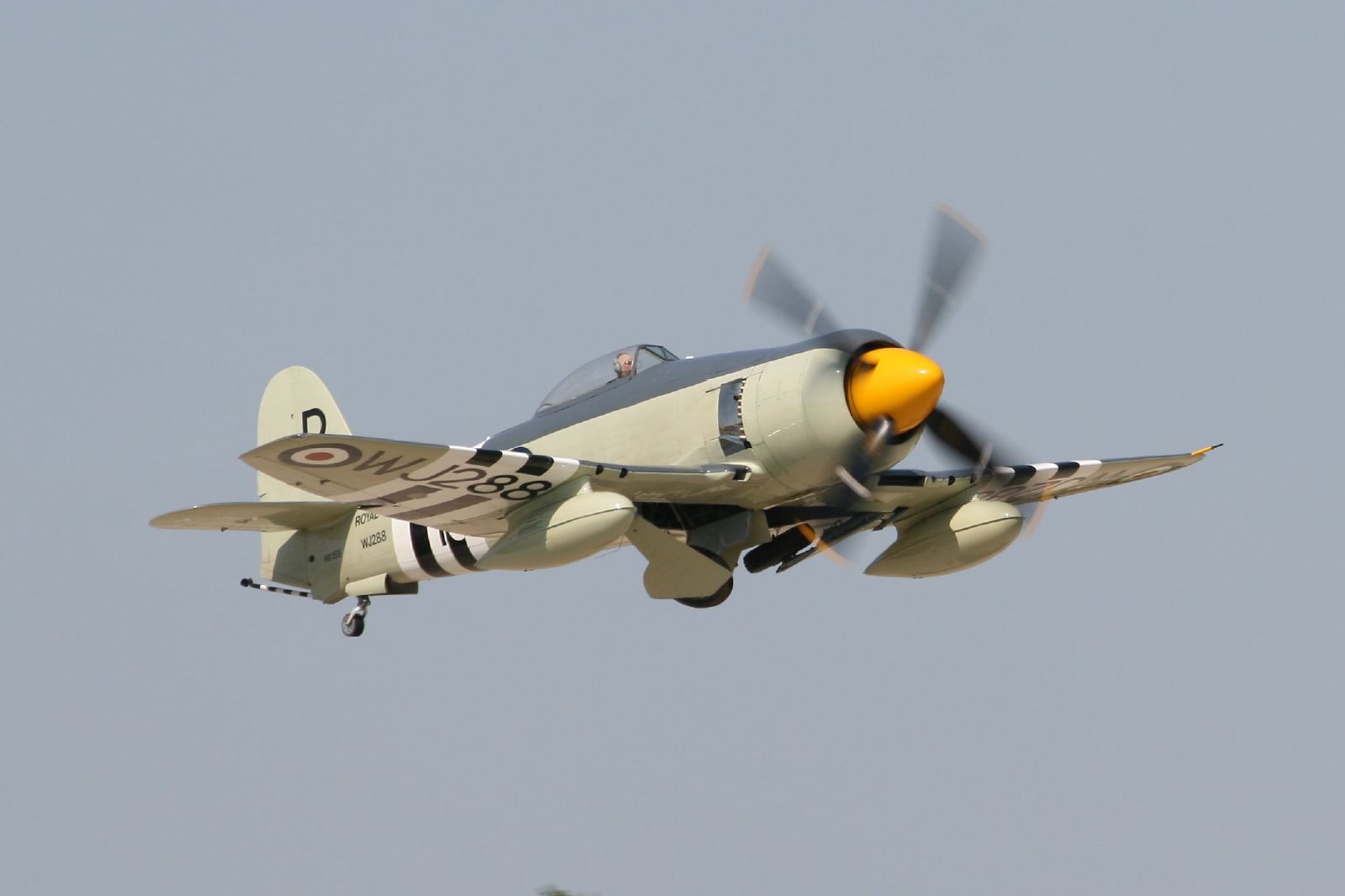  — Warbird