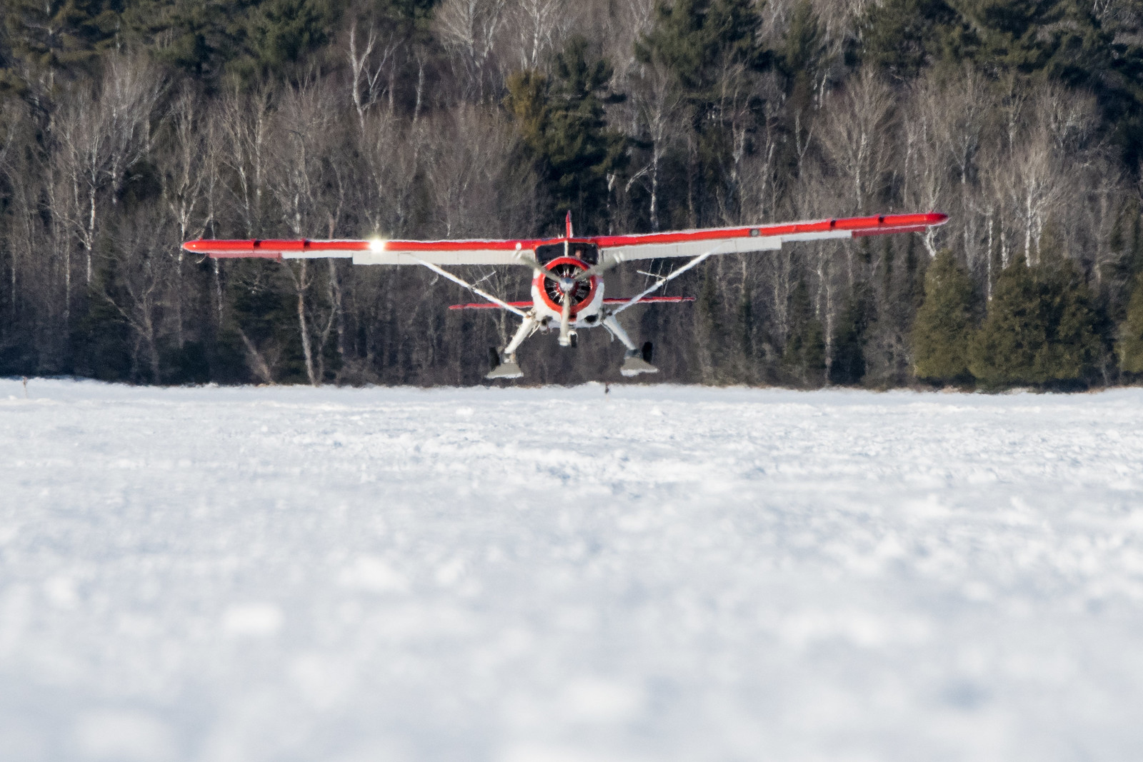 FS-LSC — Single-engine aircraft