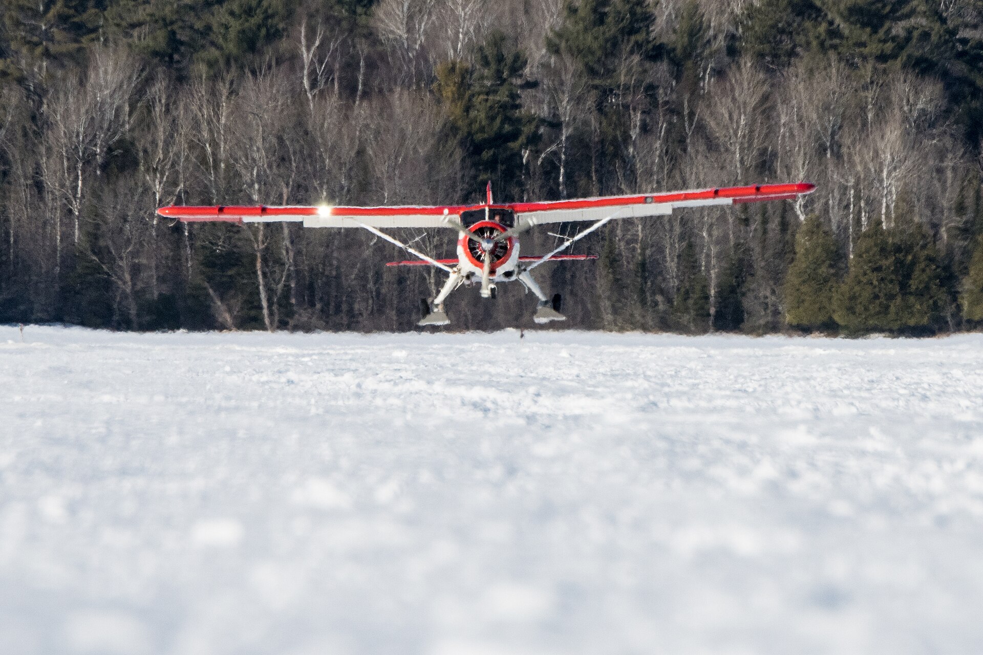 N192Z — Single-engine aircraft
