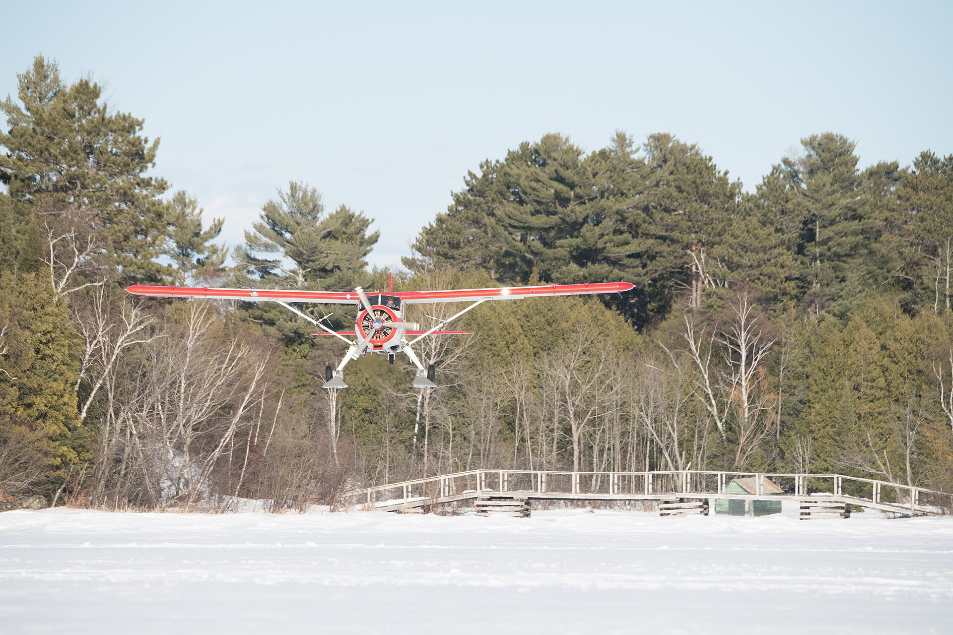 N192Z — De Havilland