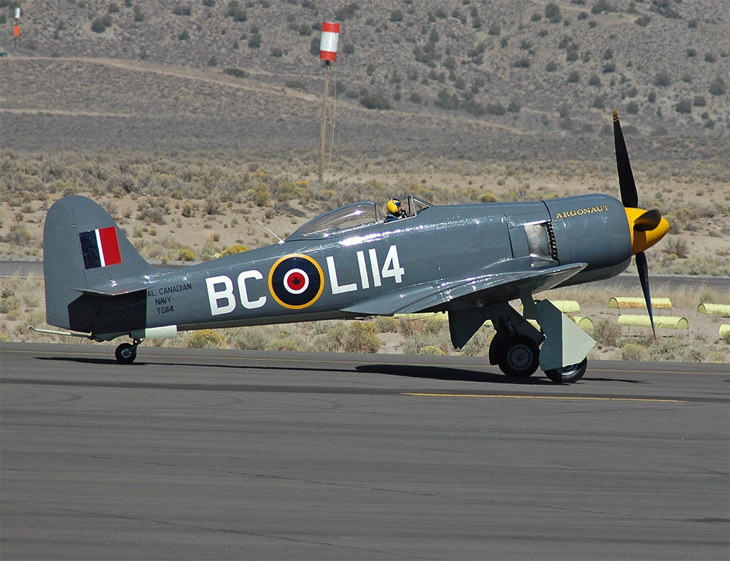  — Warbird