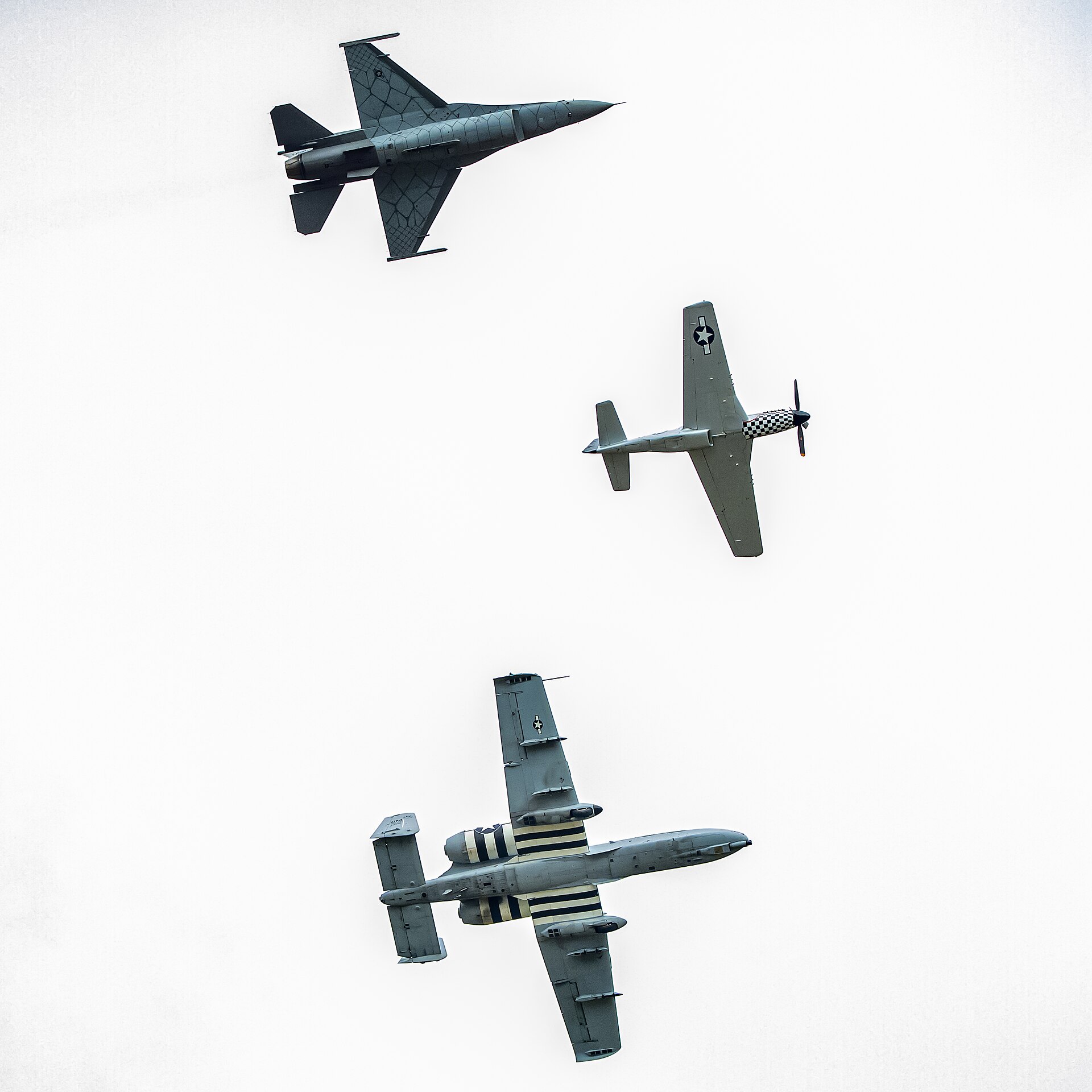  — Warbird