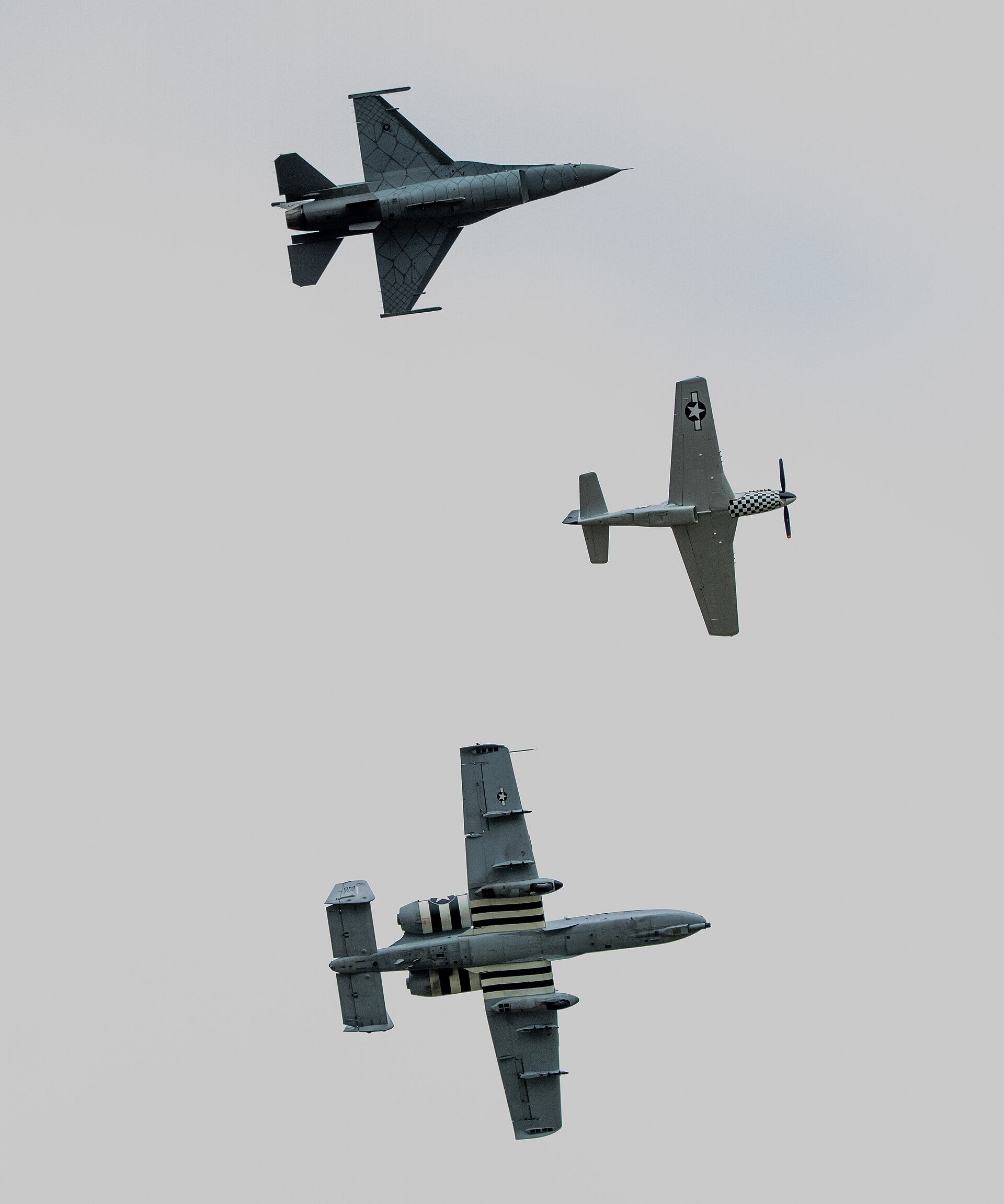  — Warbird