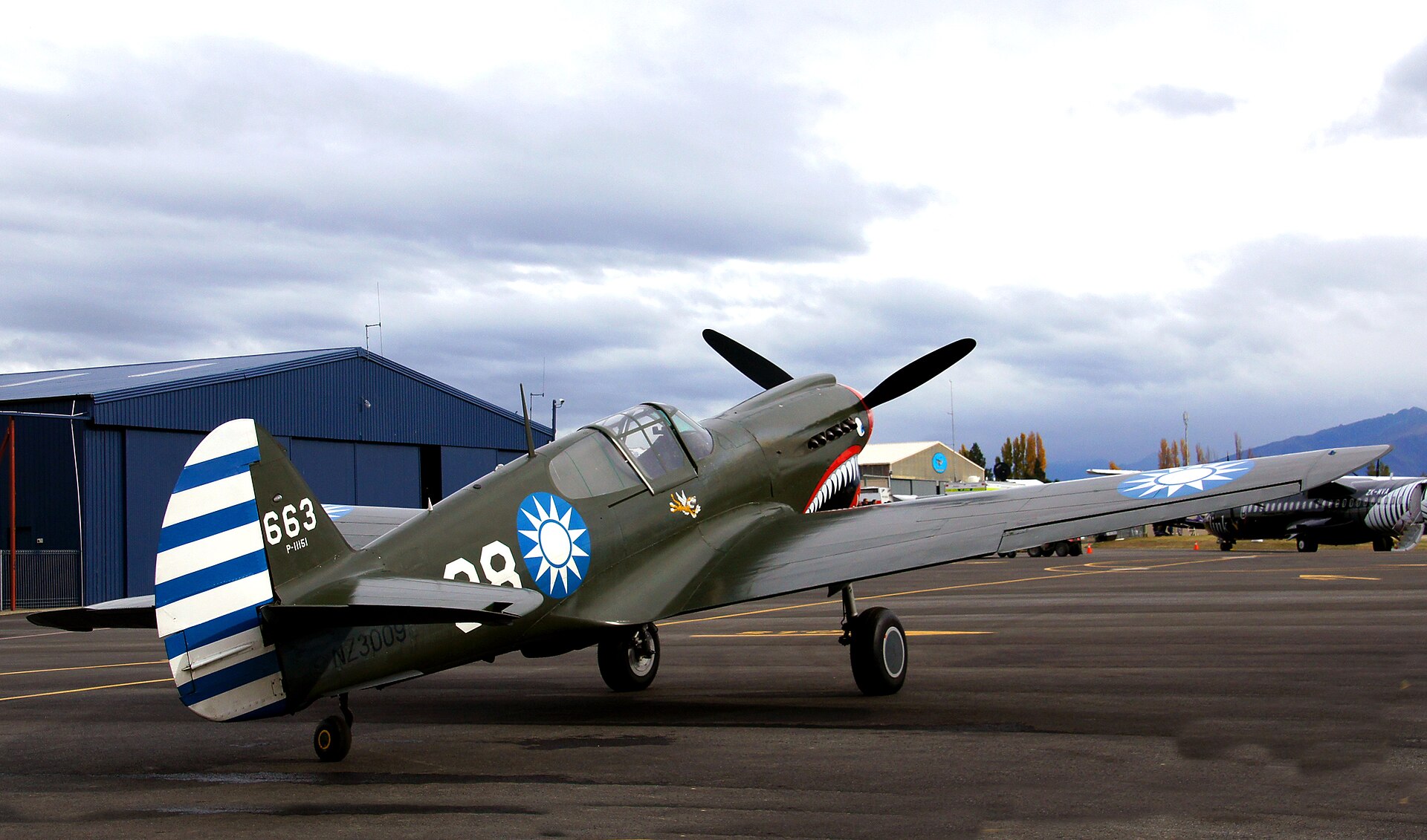  — Single-engine aircraft