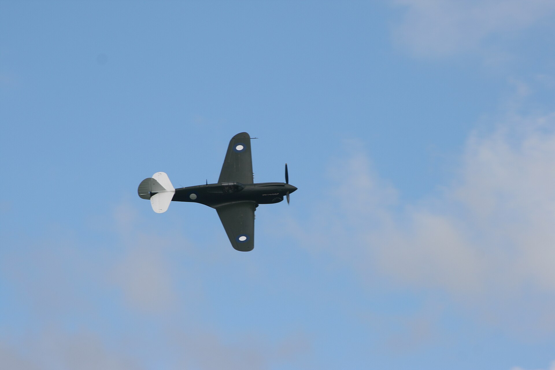  — Warbird