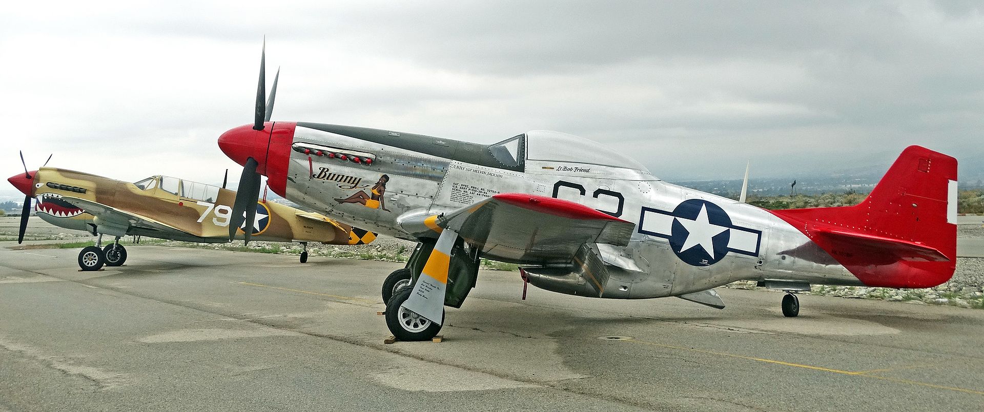  — Warbird