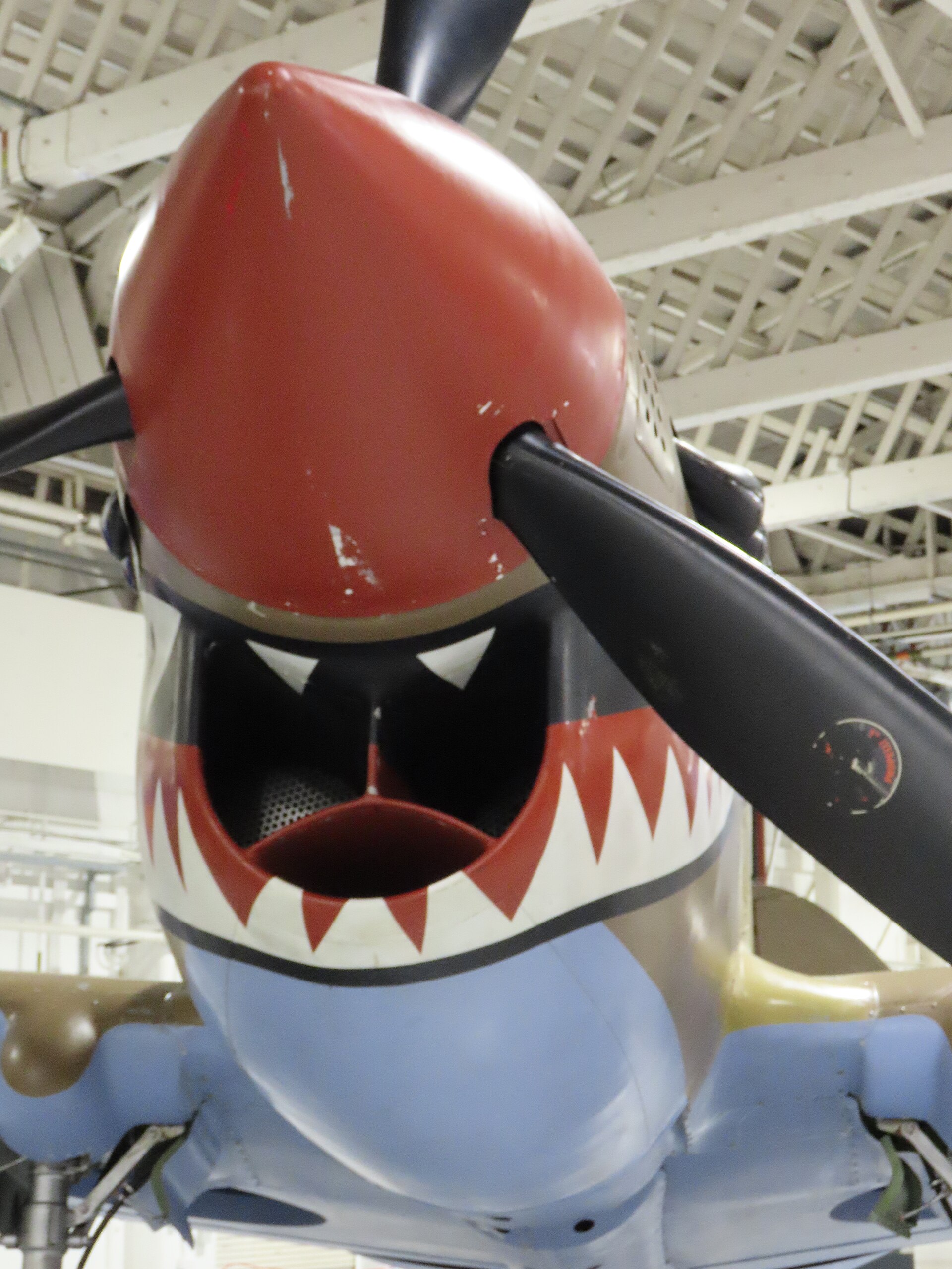  — Warbird