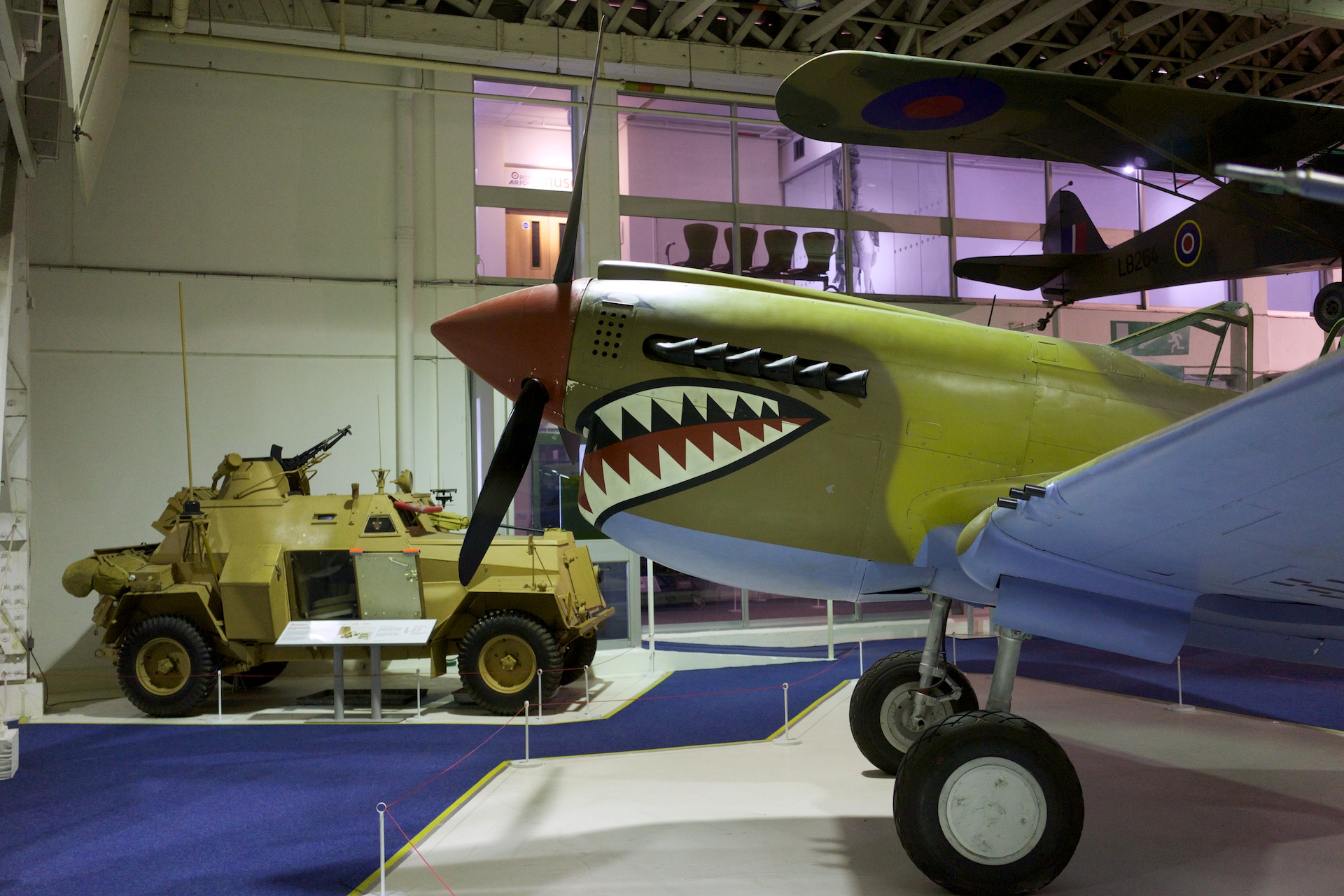 — Warbird