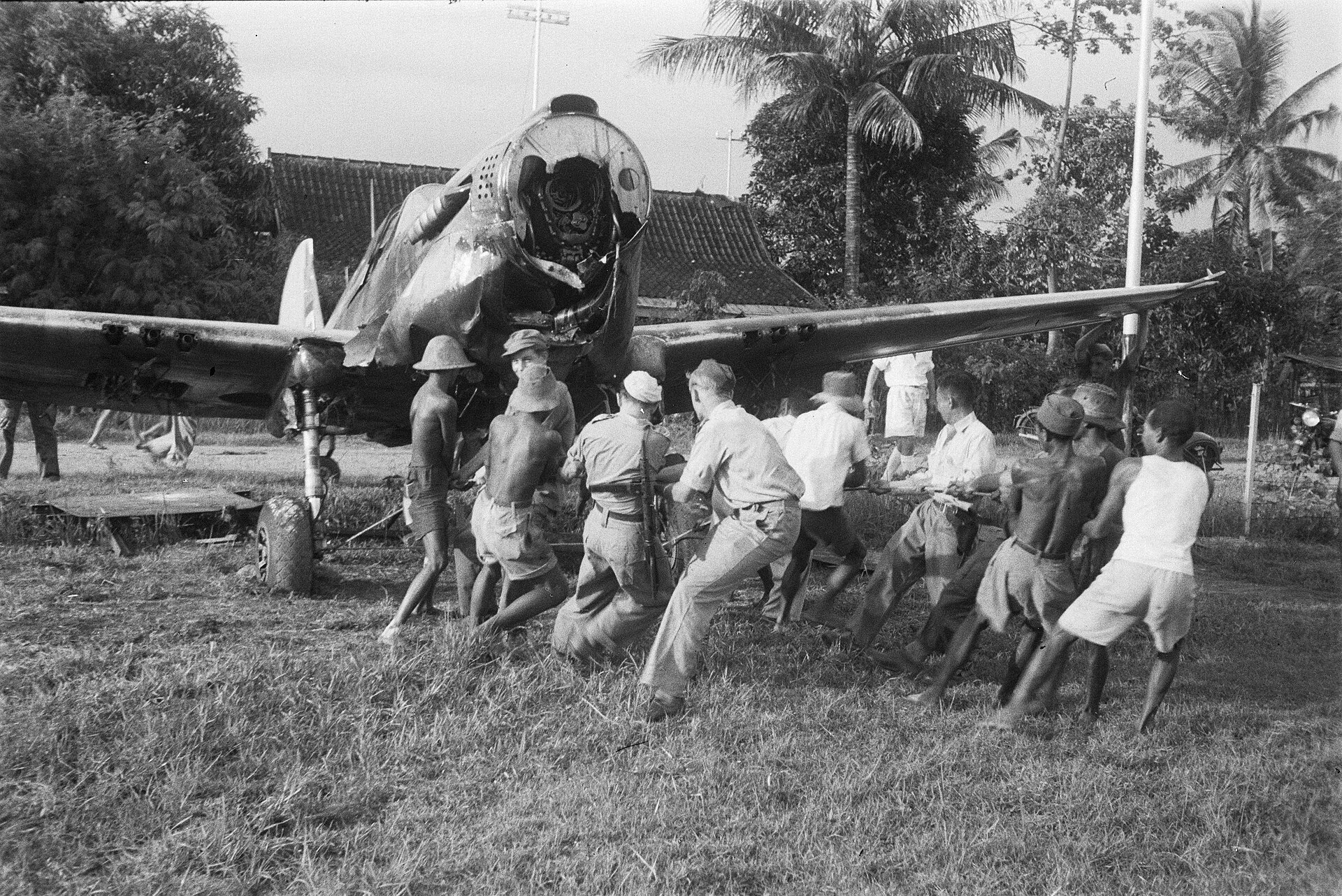  — Warbird