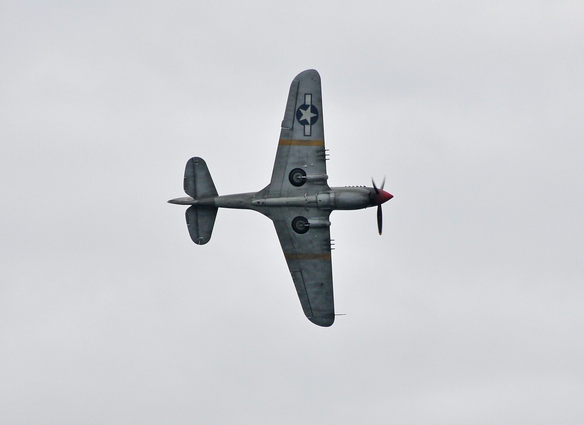  — Warbird