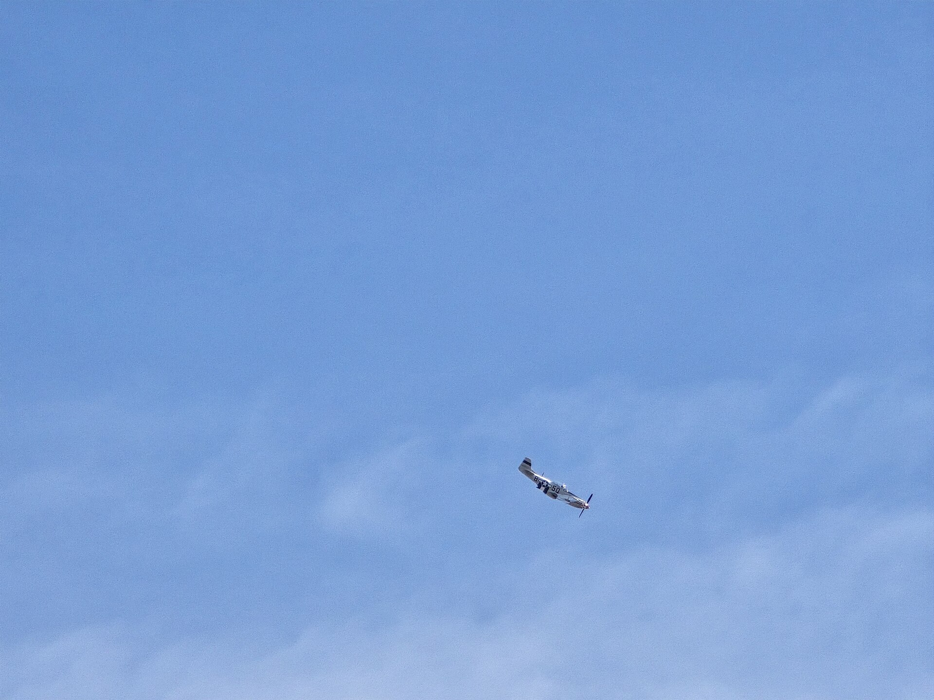  — Warbird
