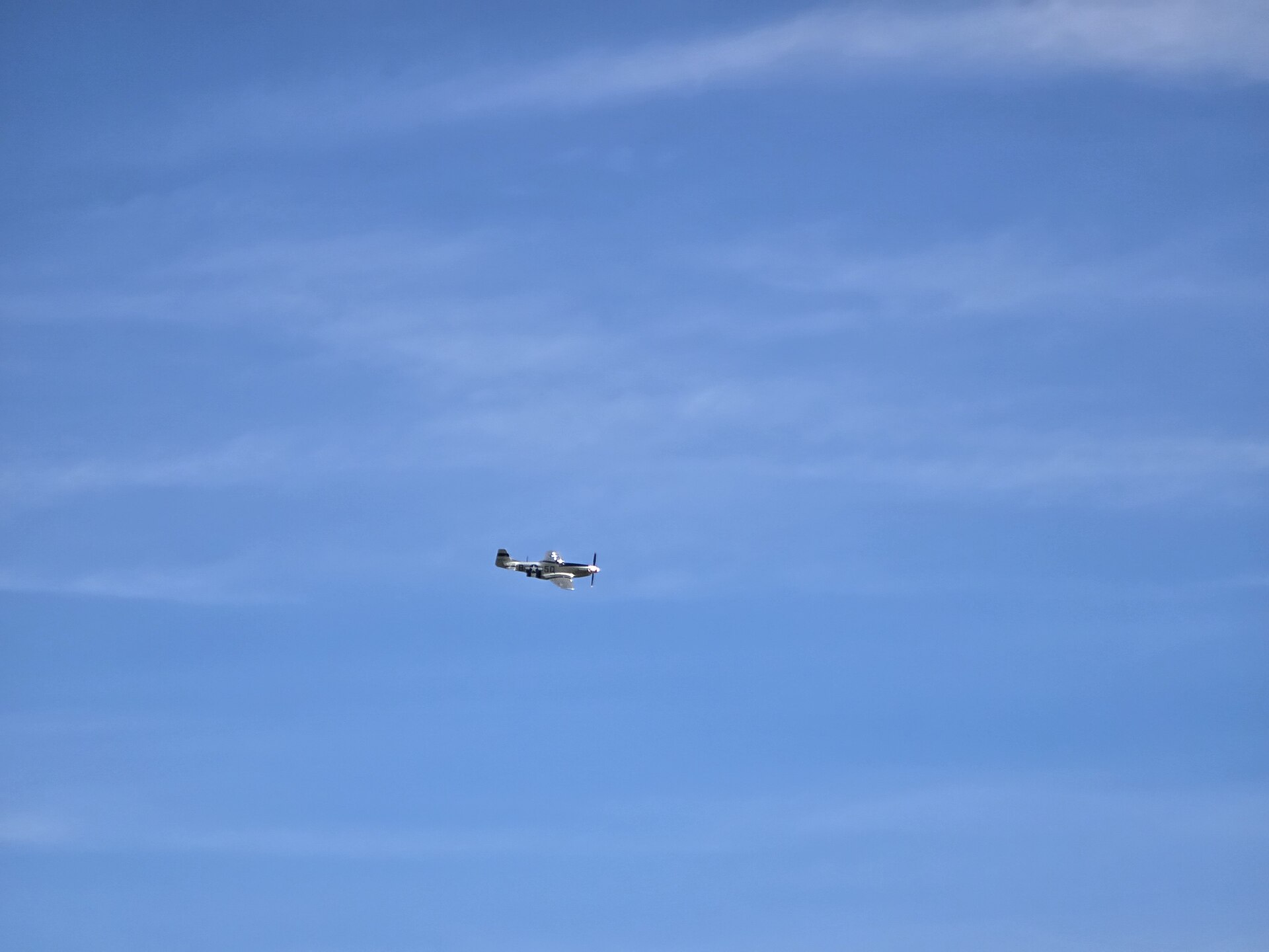  — Warbird