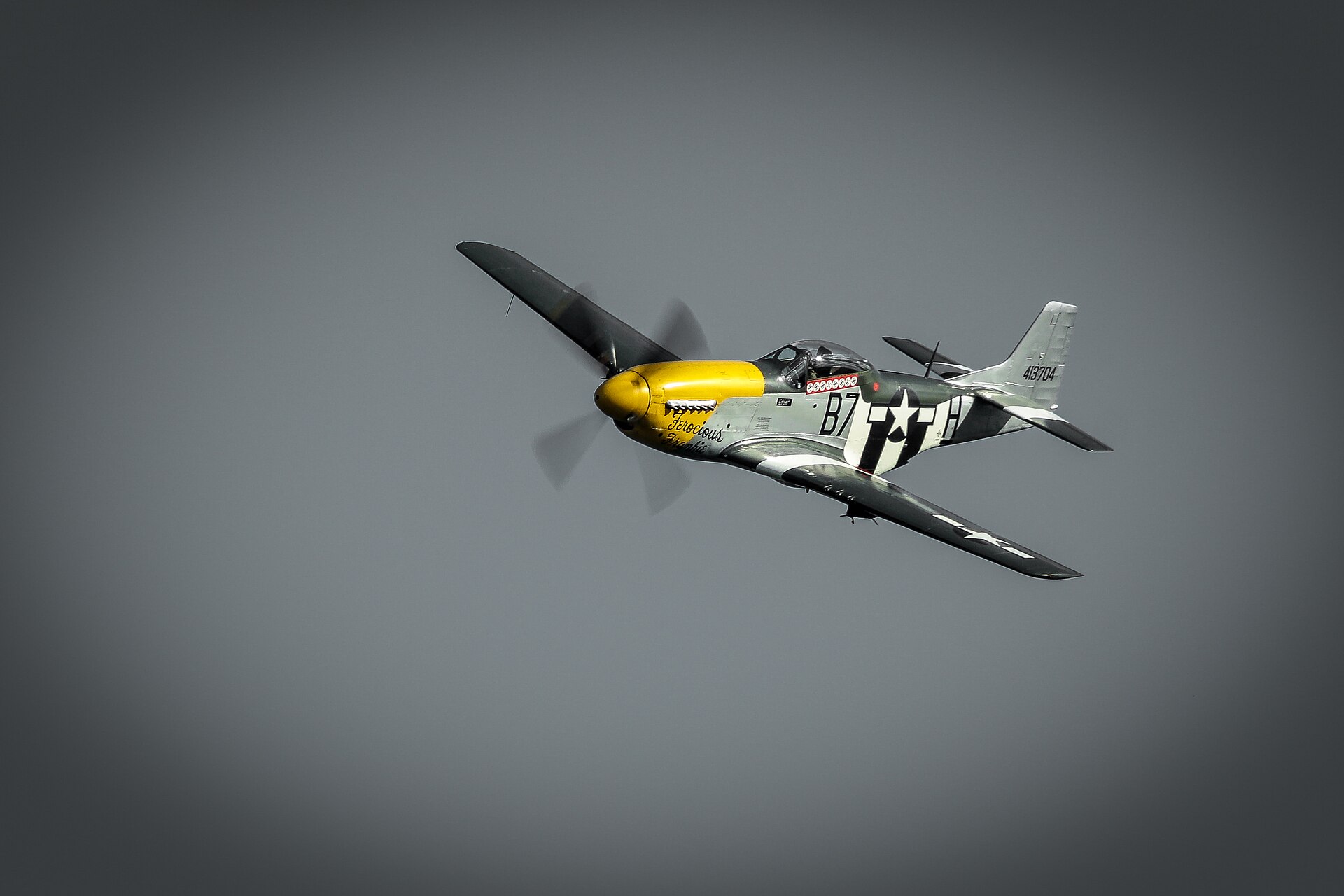  — Warbird