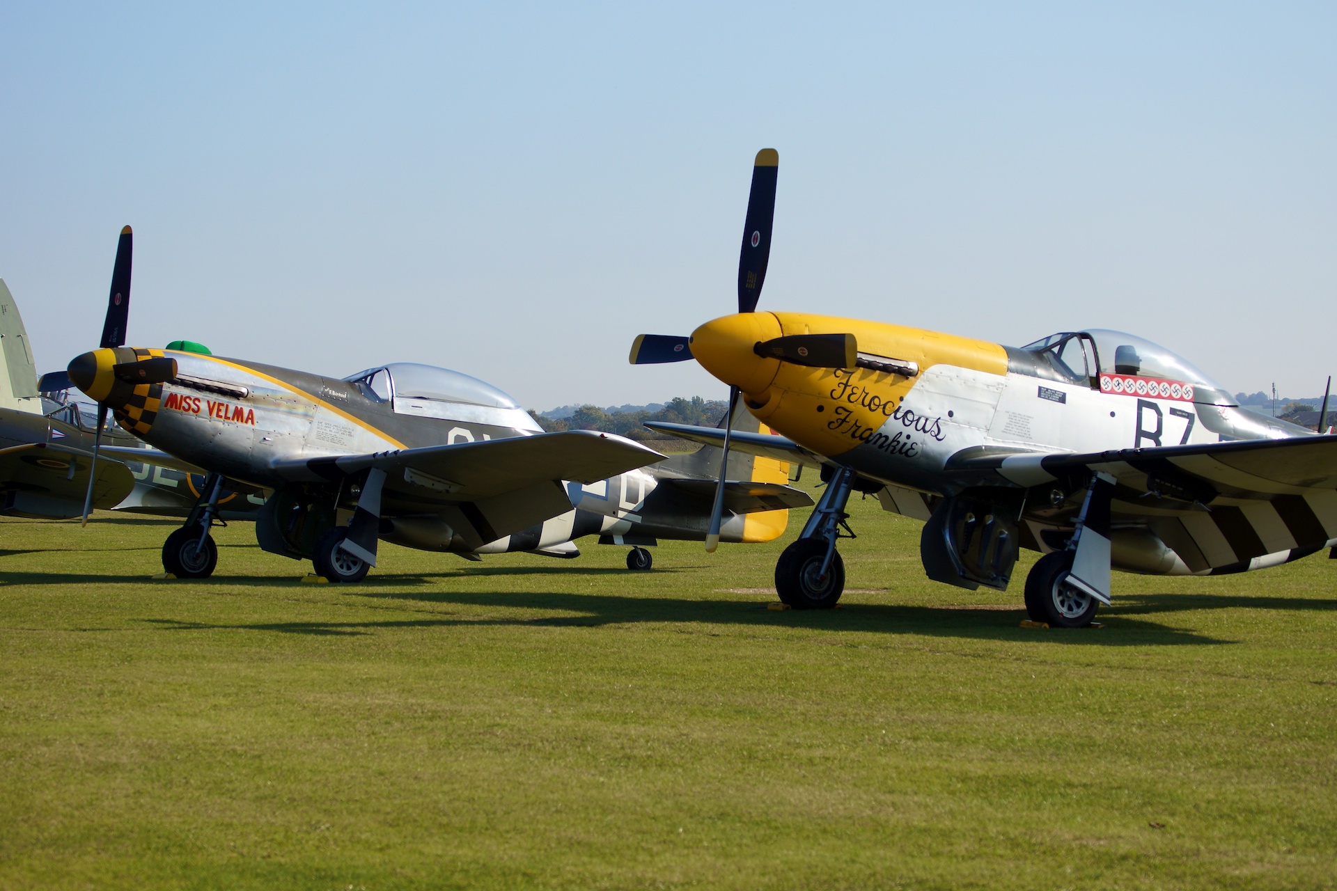  — Warbird