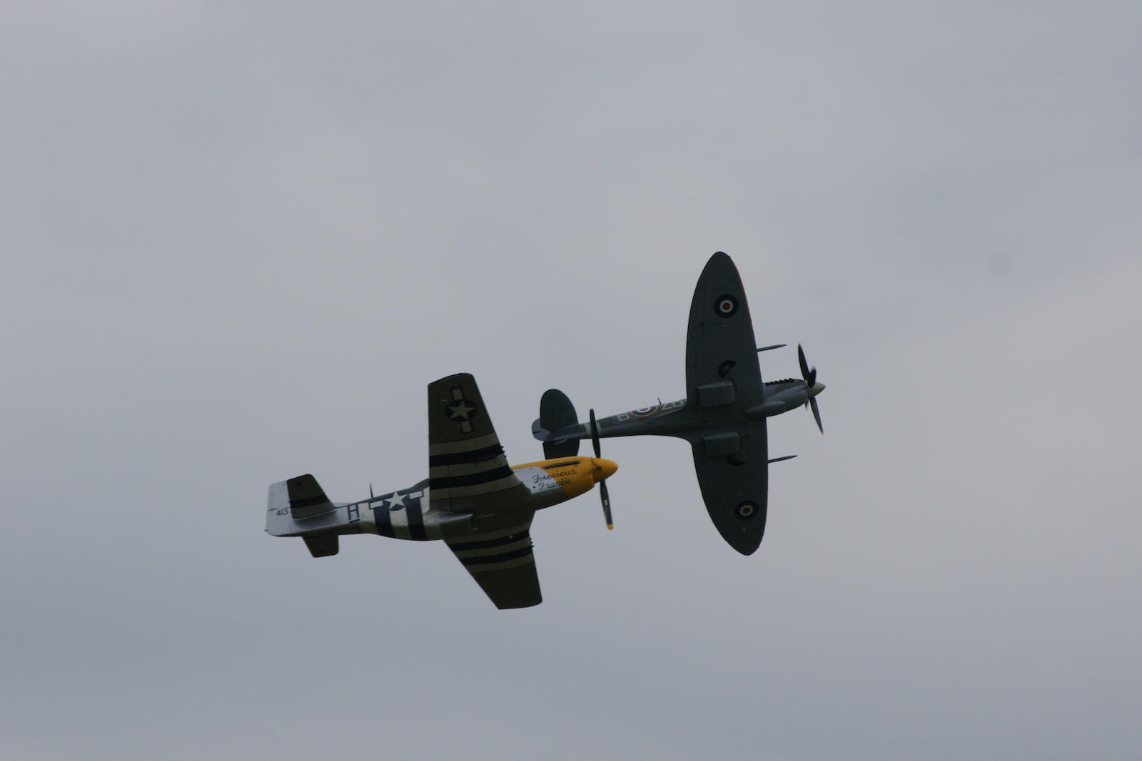  — Warbird