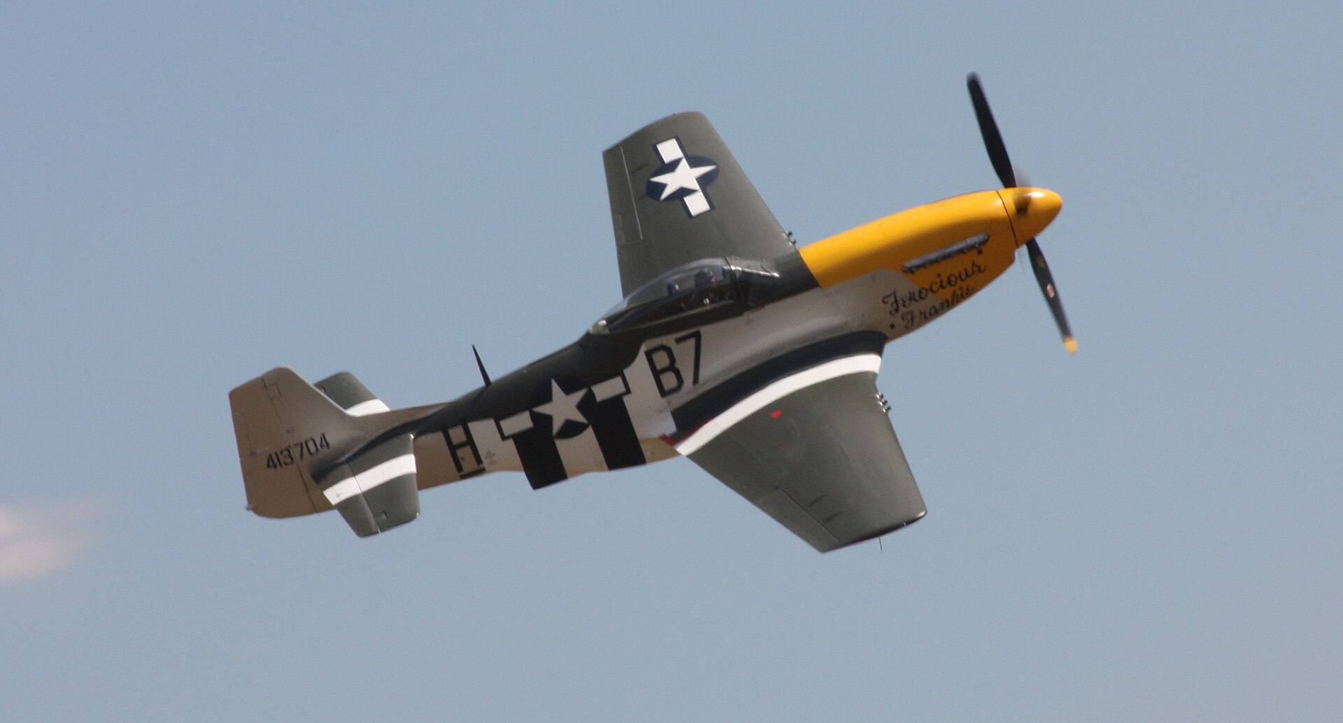  — Warbird