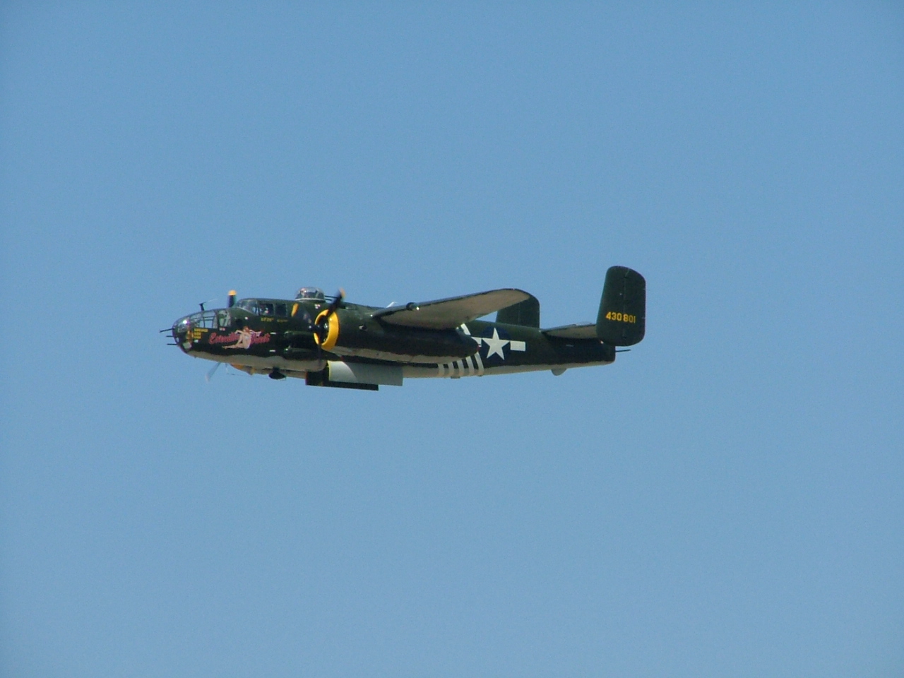  — Warbird