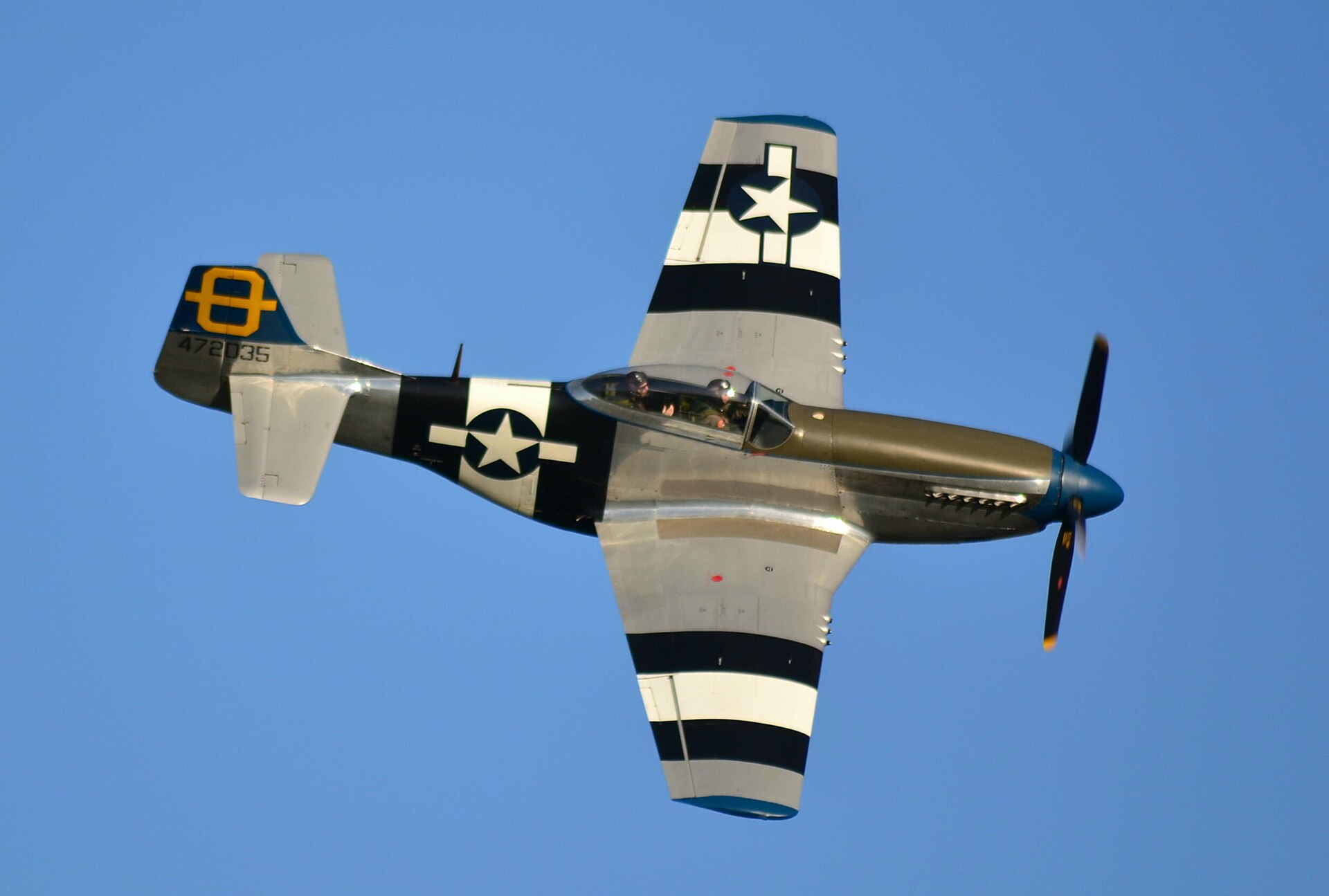 — Warbird
