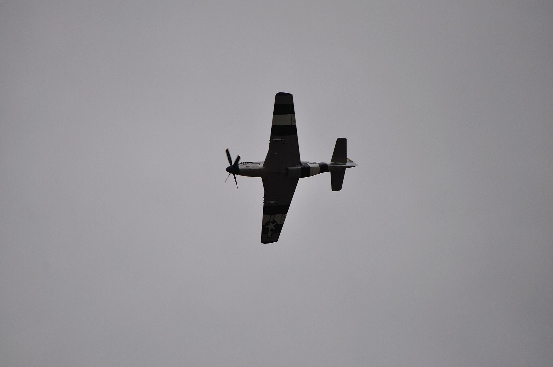  — Warbird