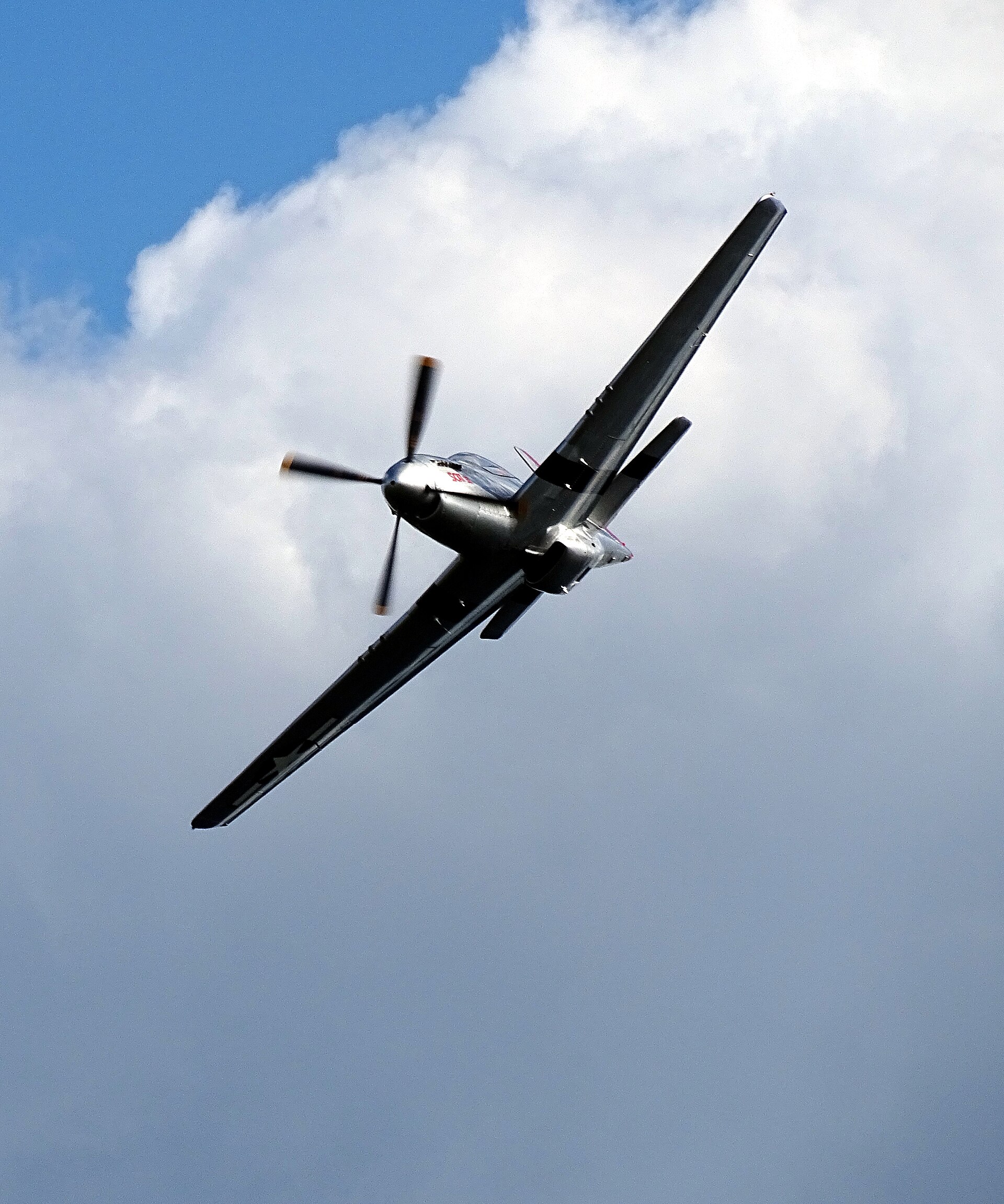 — Warbird