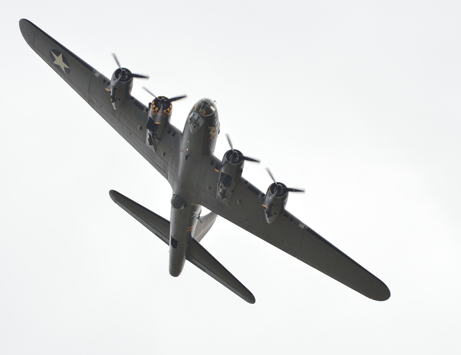 — Warbird