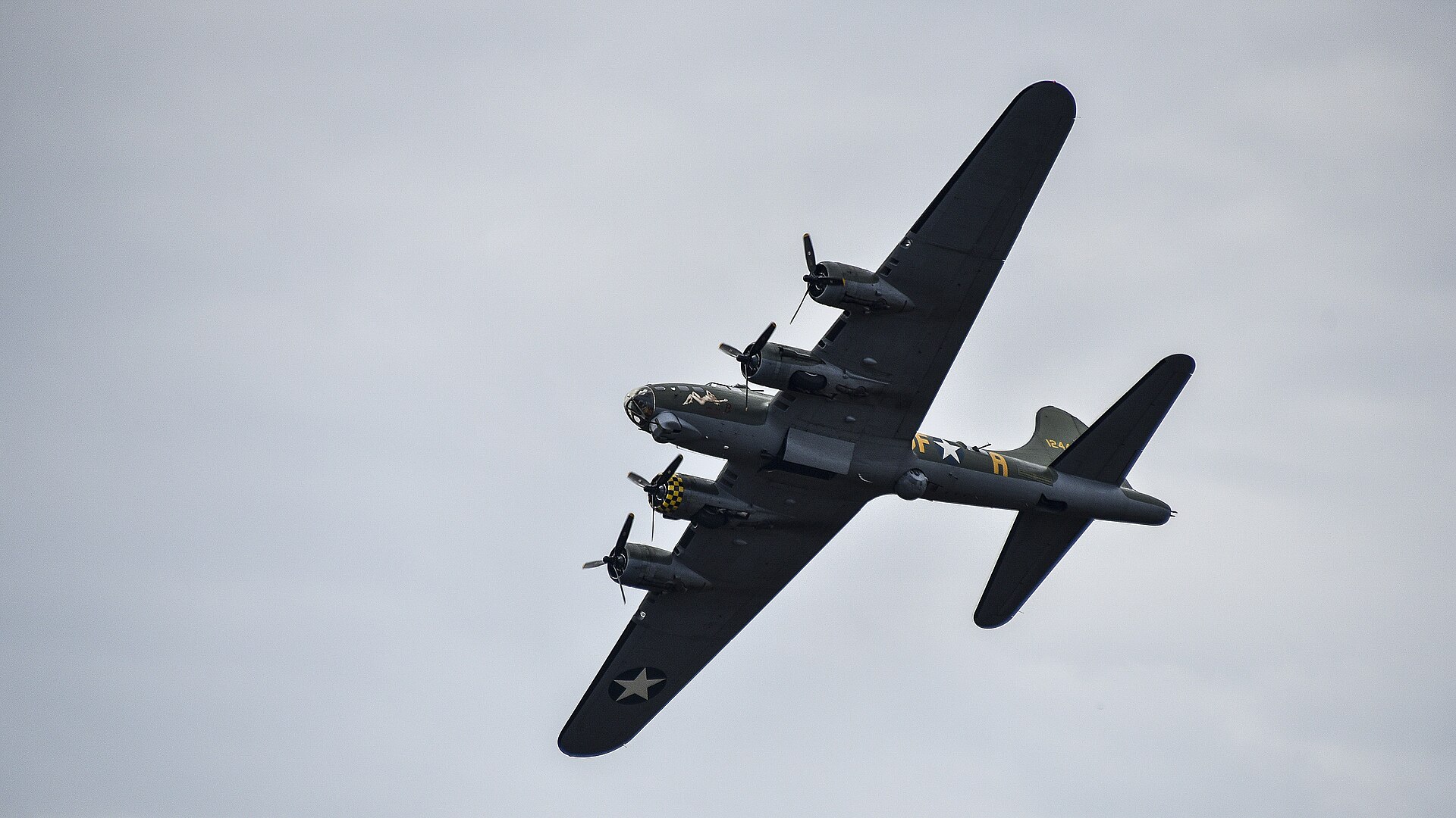  — Warbird