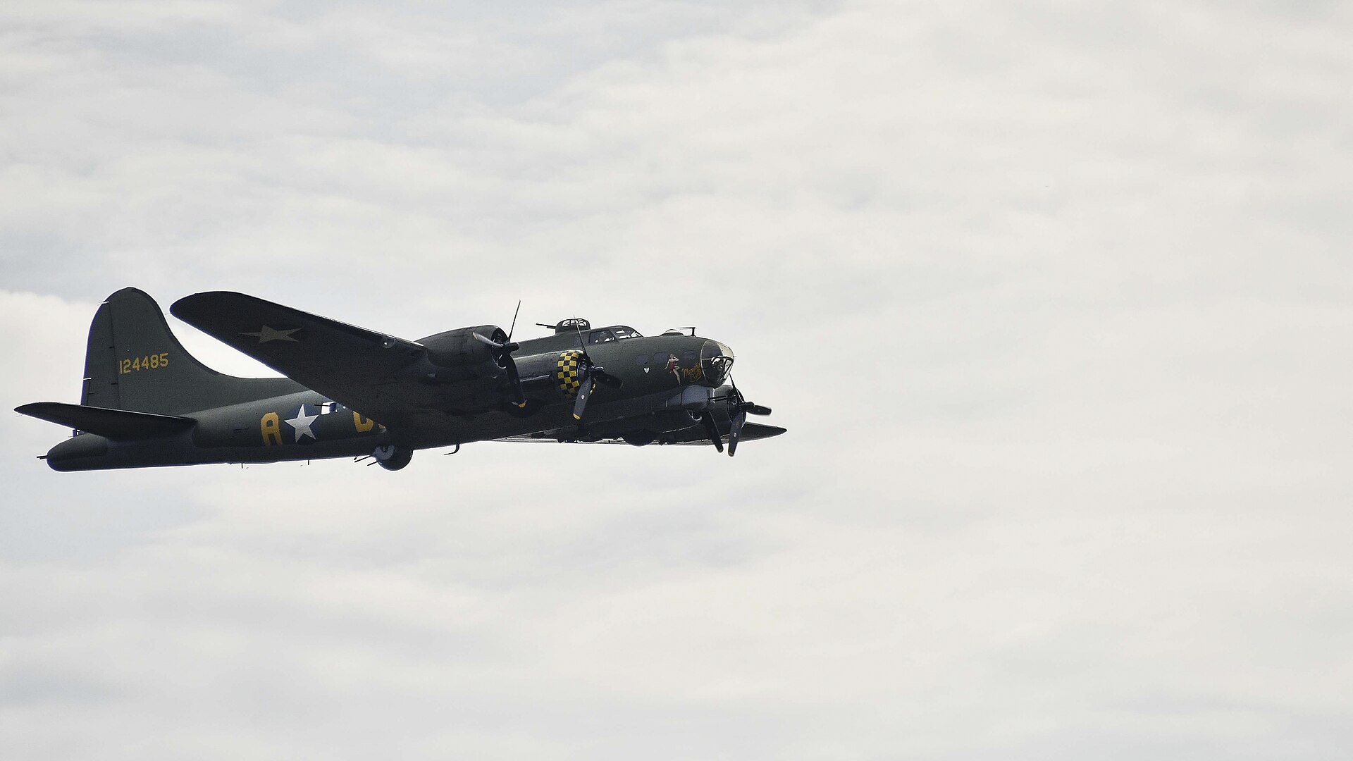  — Warbird