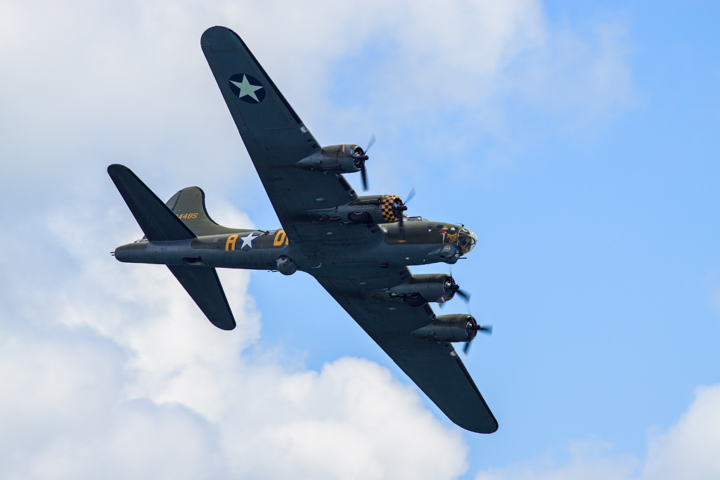  — Warbird