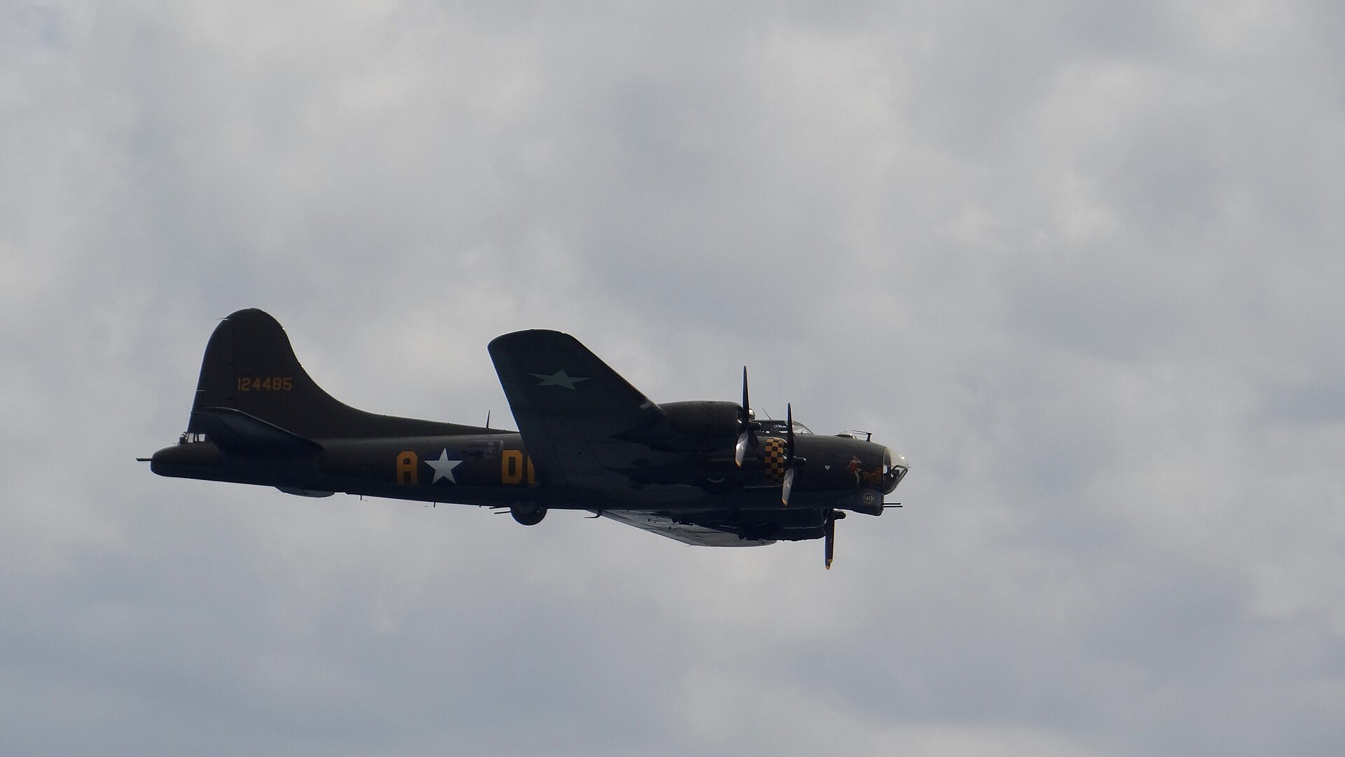  — Warbird