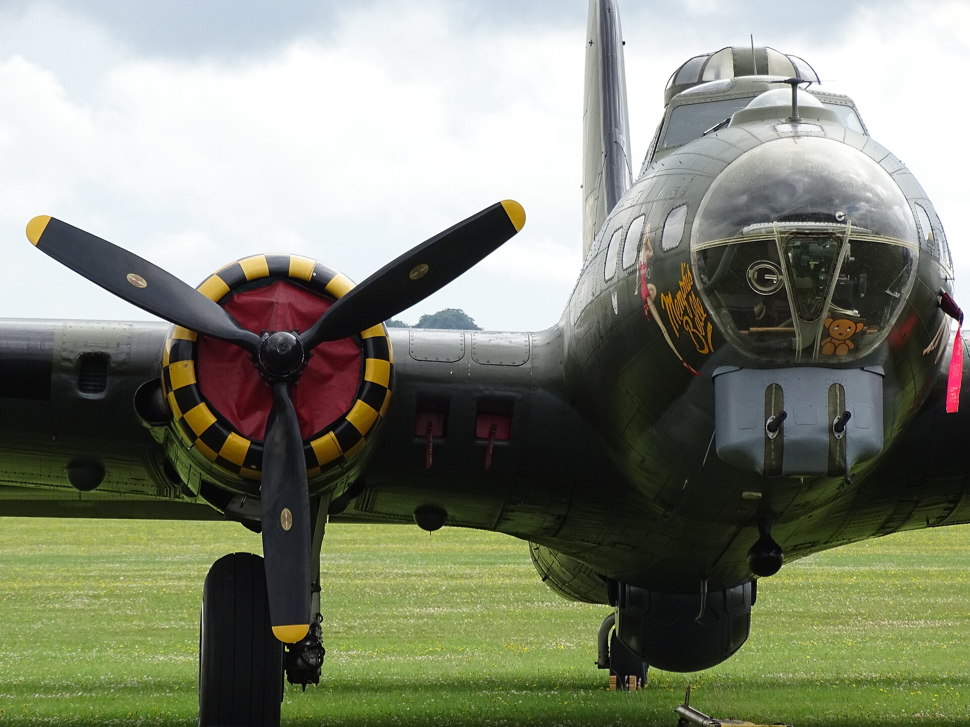  — Warbird