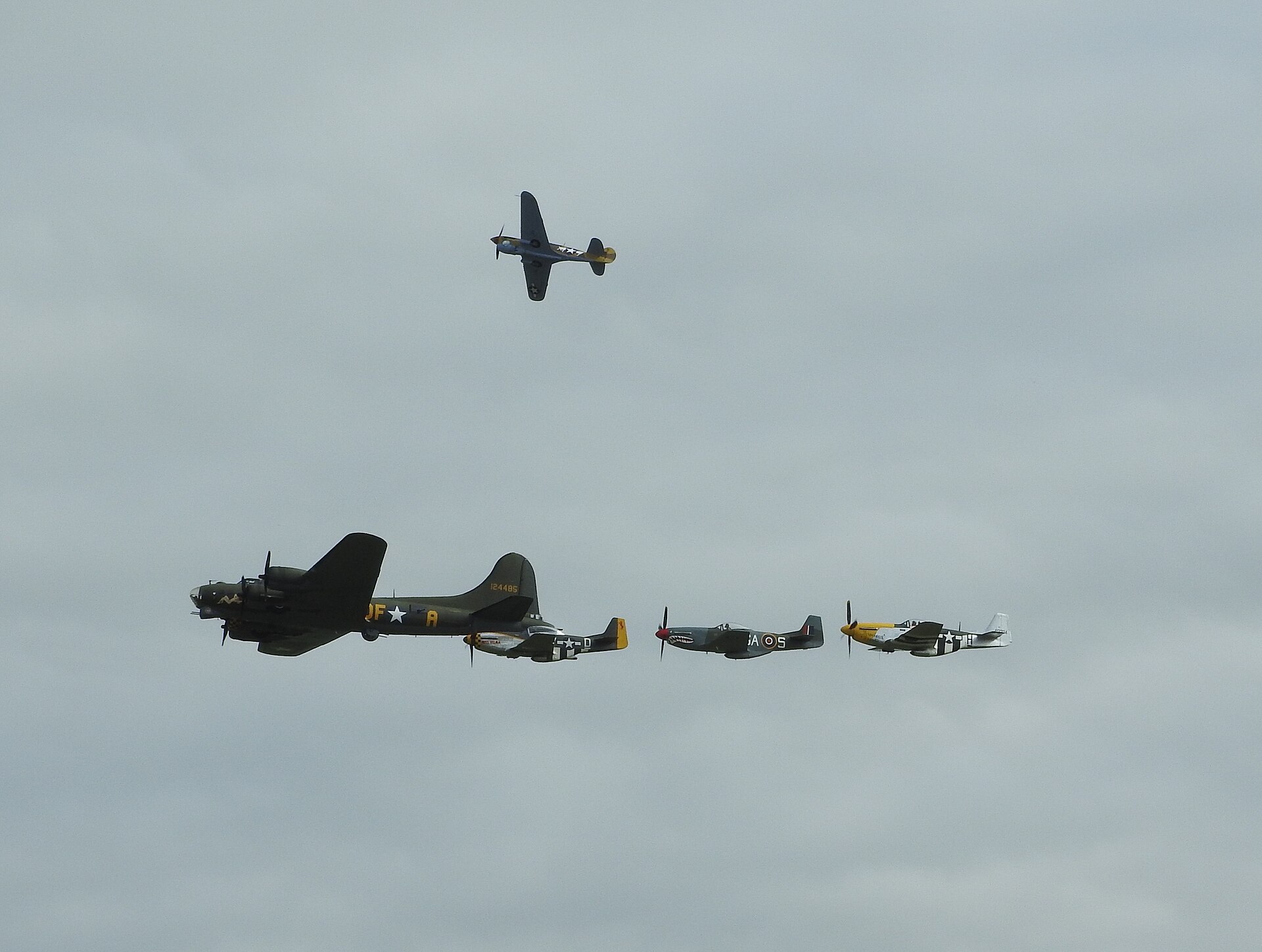  — Warbird