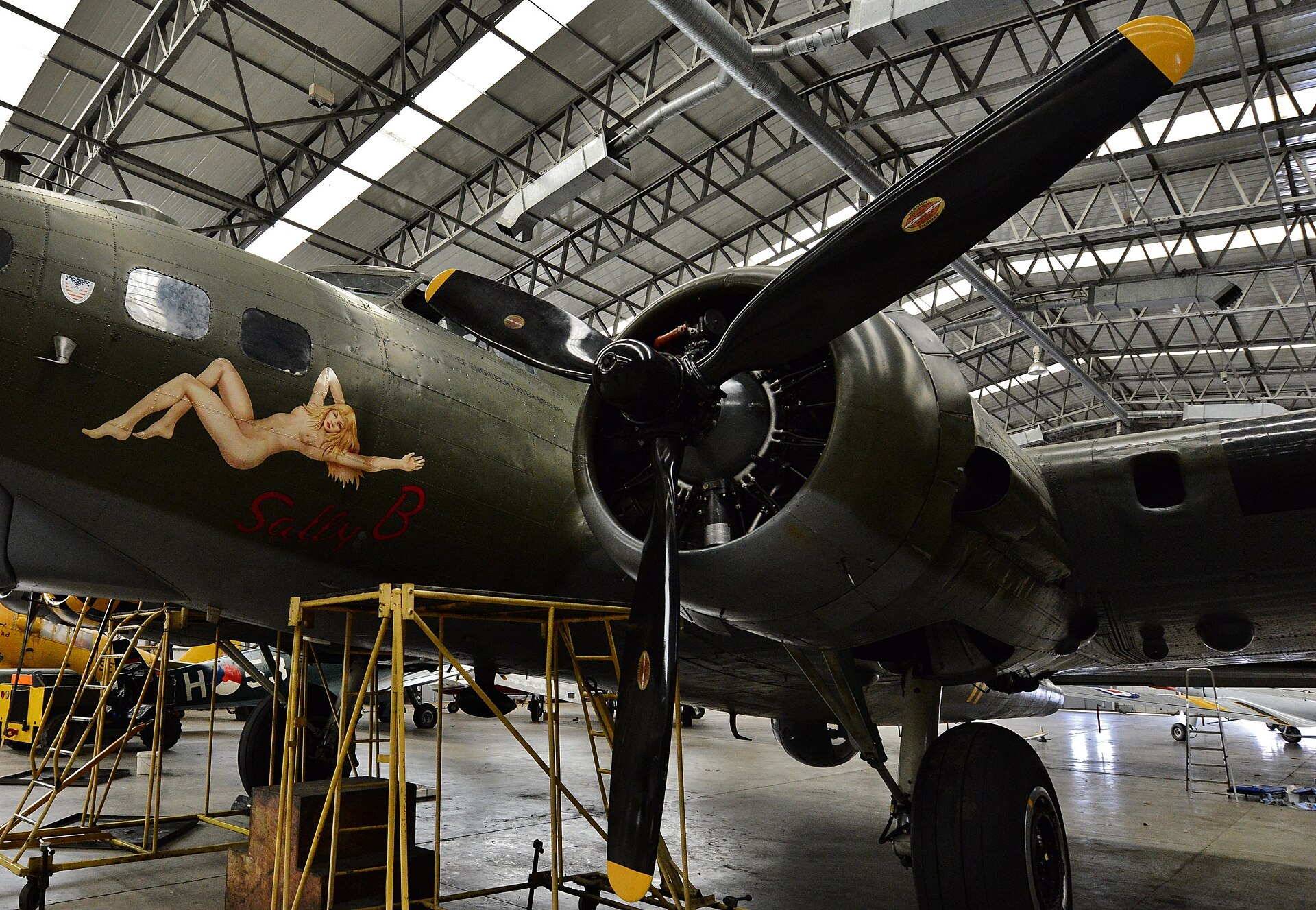  — Warbird