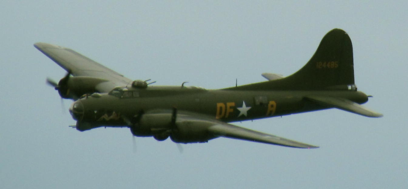 — Warbird