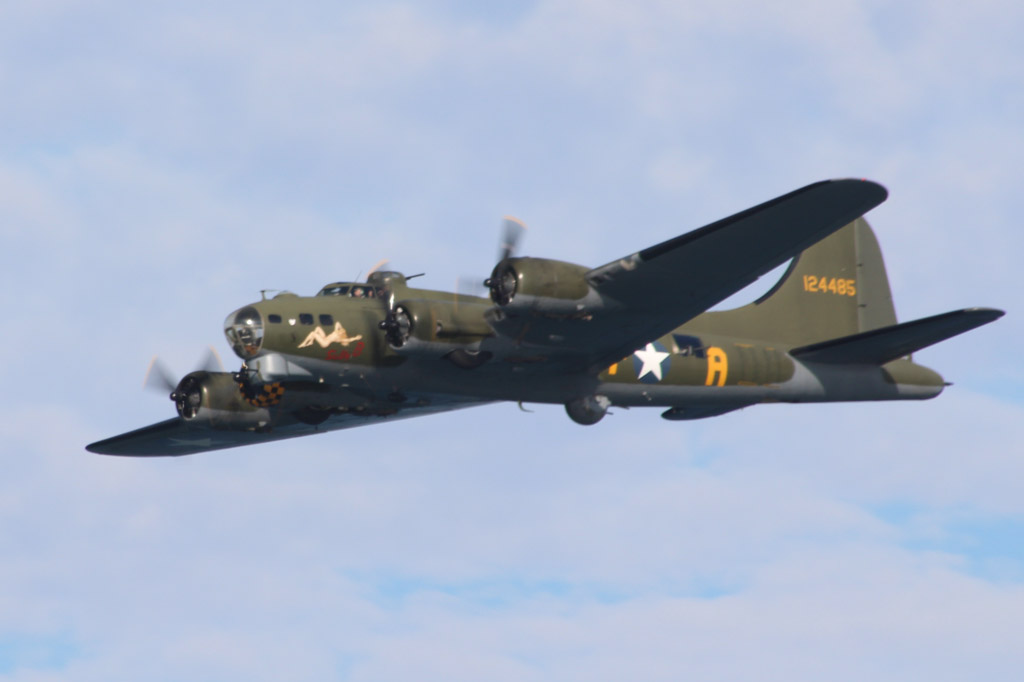  — Warbird