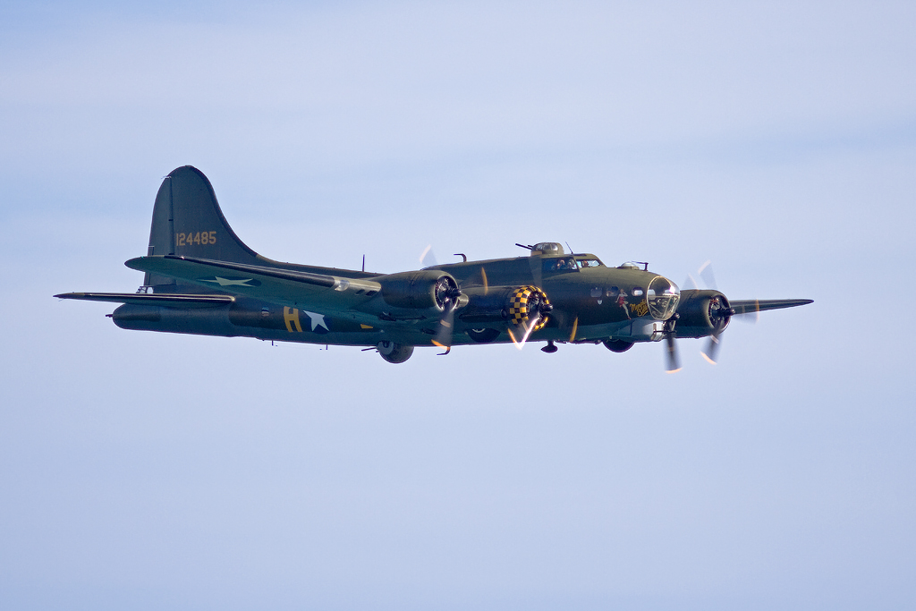  — Warbird