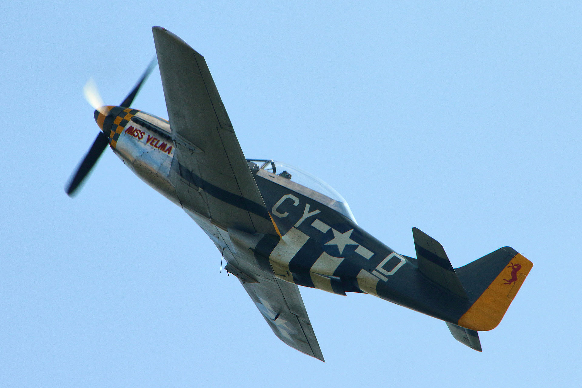 N251RJ — Warbird