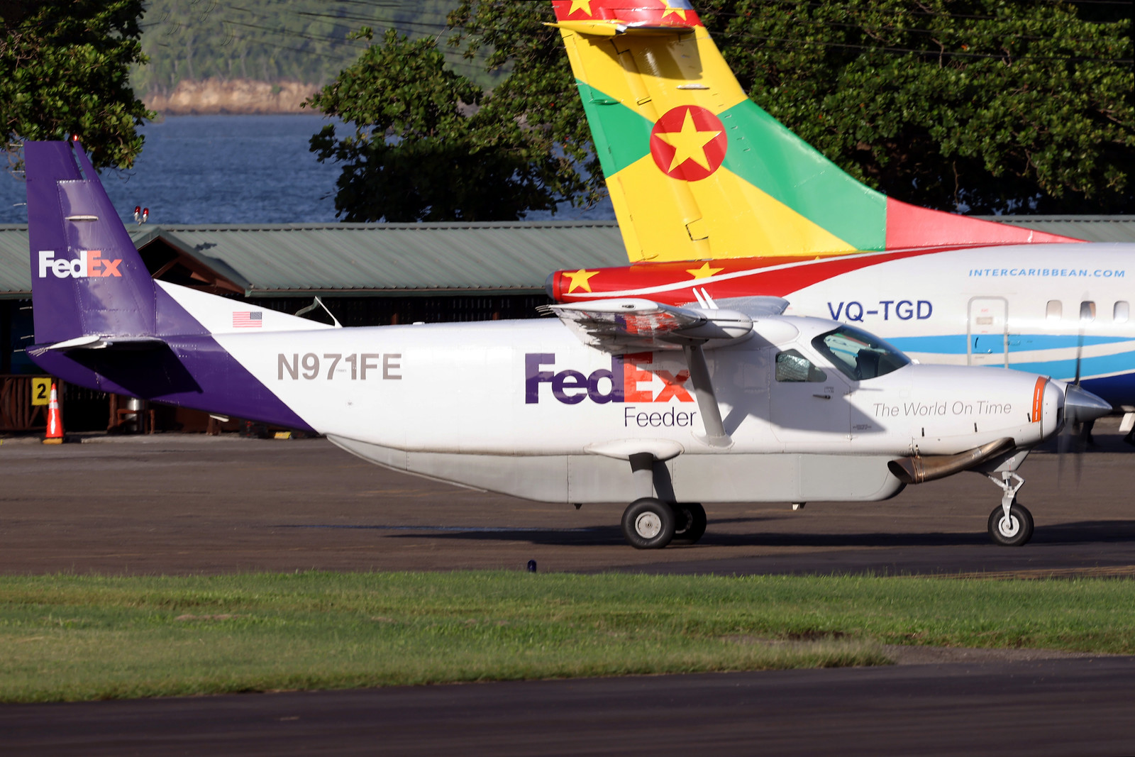 N971FE — Single-engine aircraft