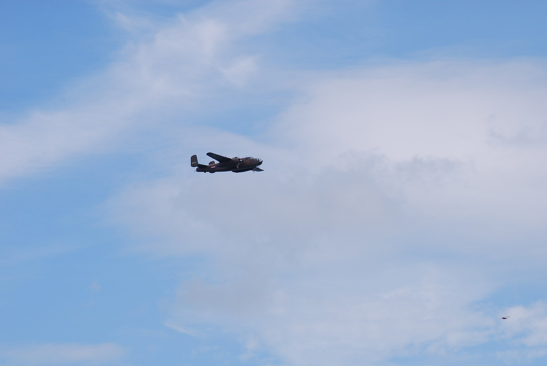  — Warbird