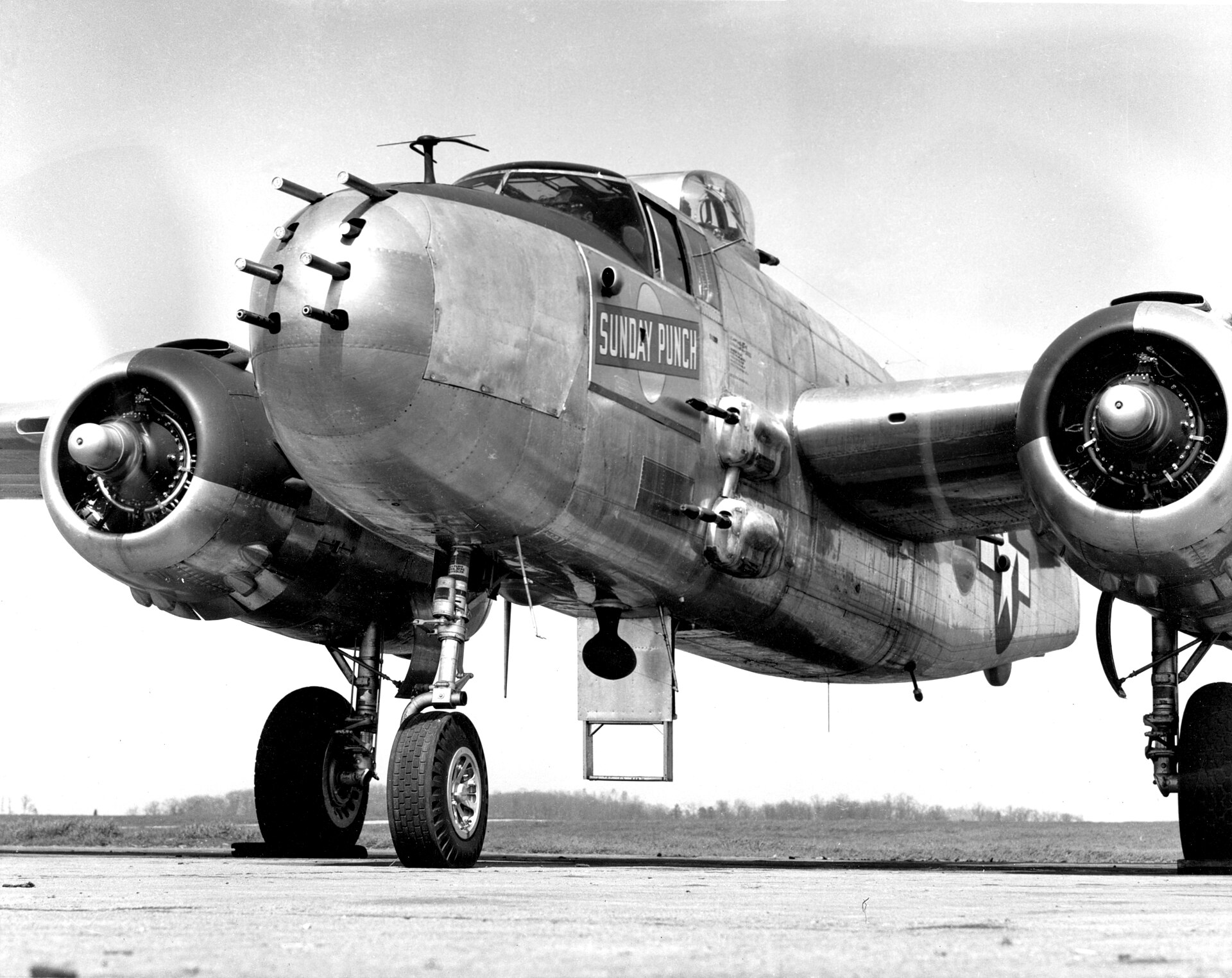  — Warbird