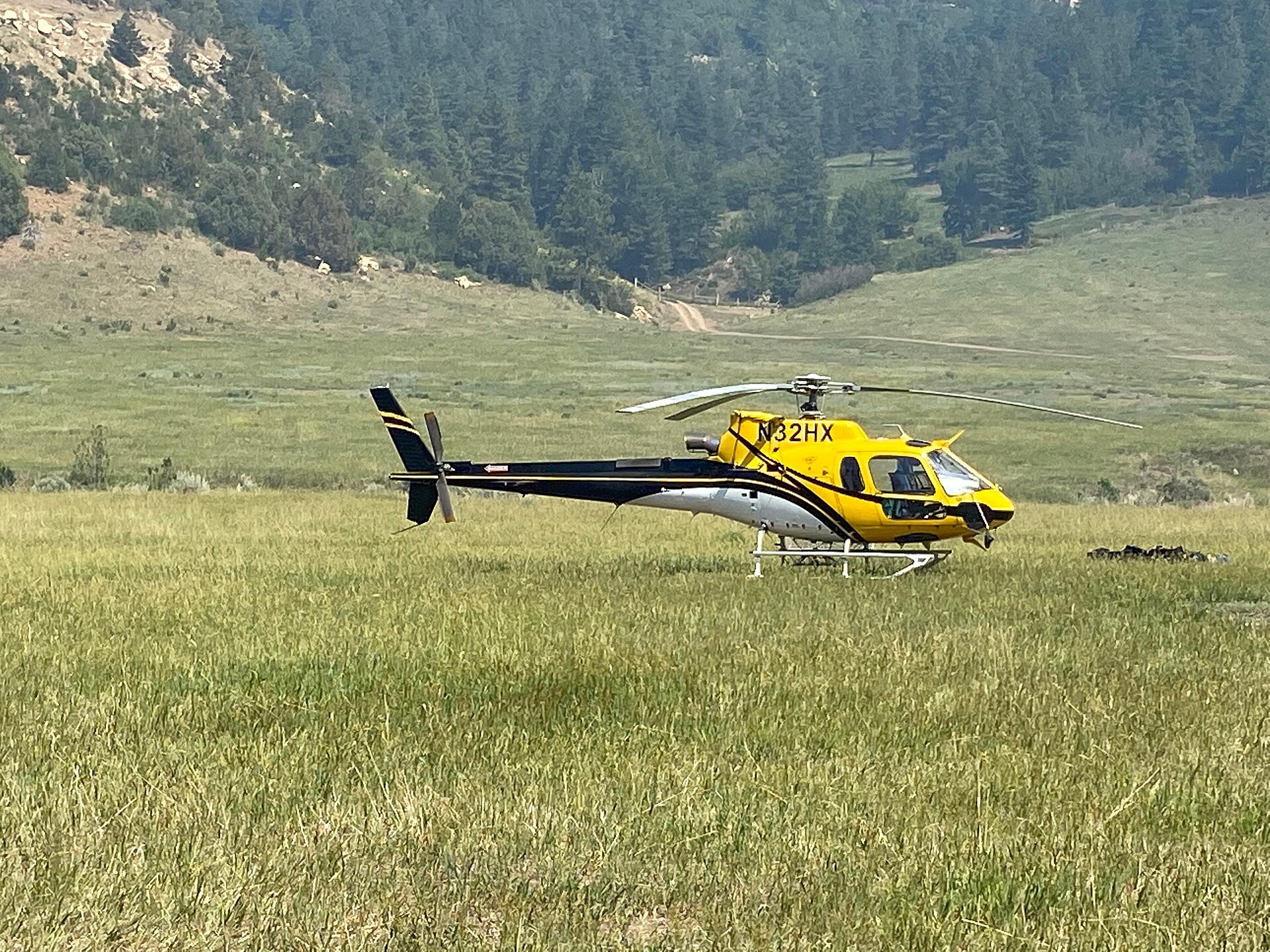 N32HX — Airbus