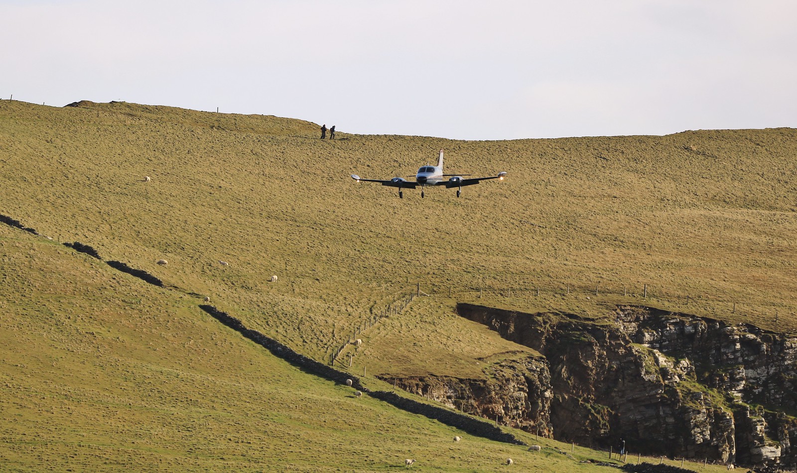 N44NE — Twin-engine aircraft