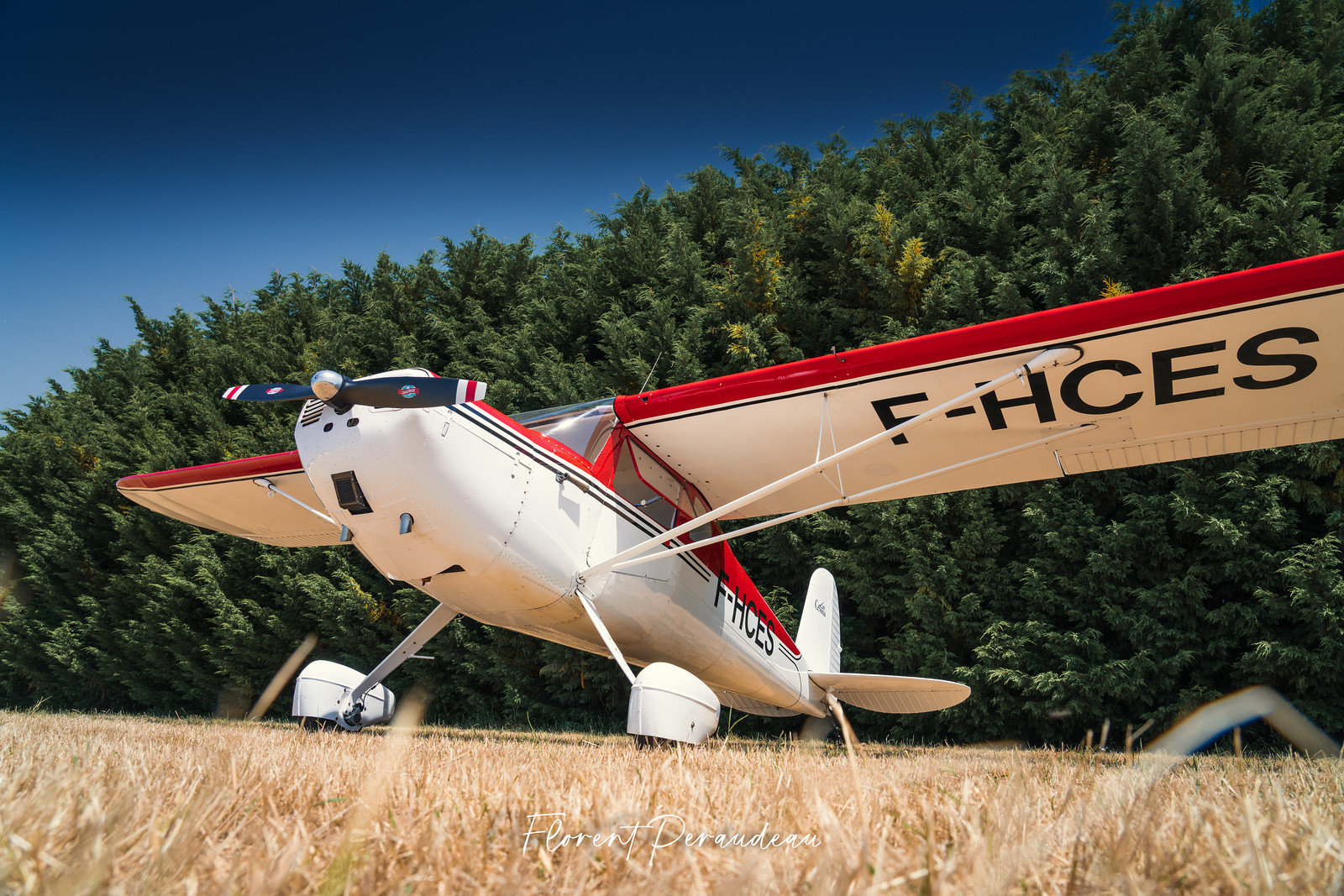 F-HCES — Single-engine aircraft