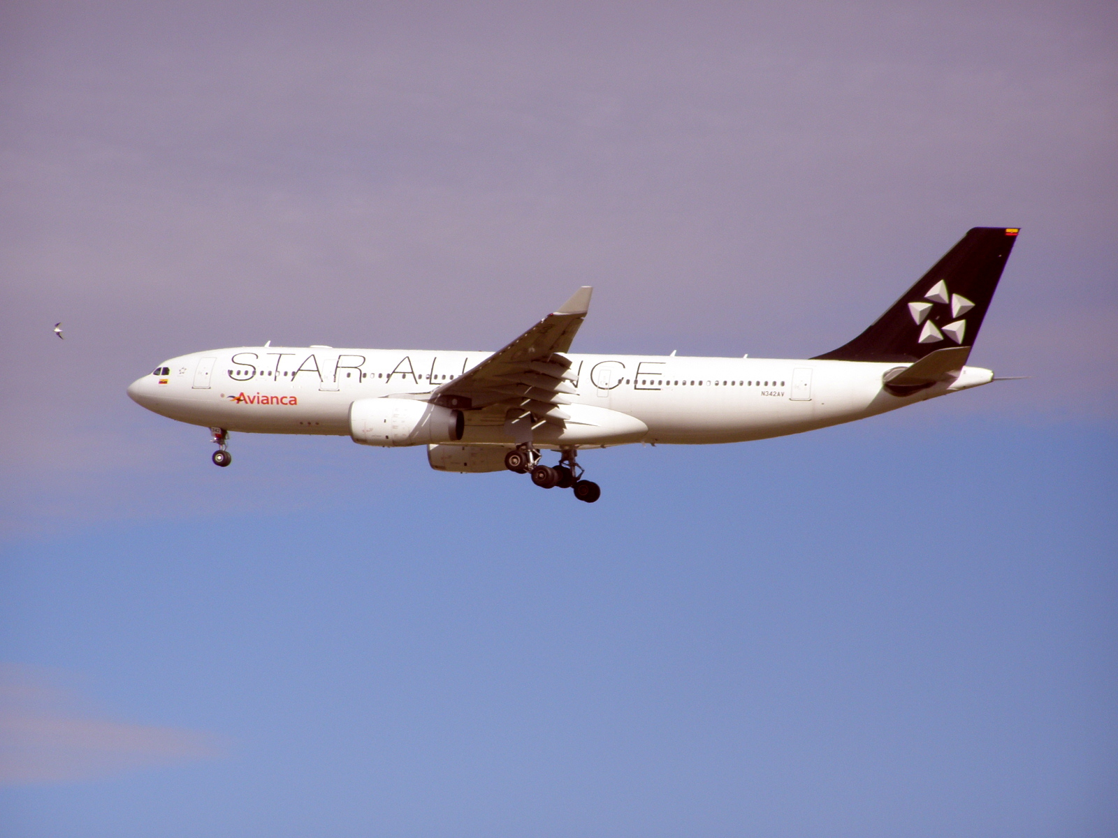 N342AV — Airbus
