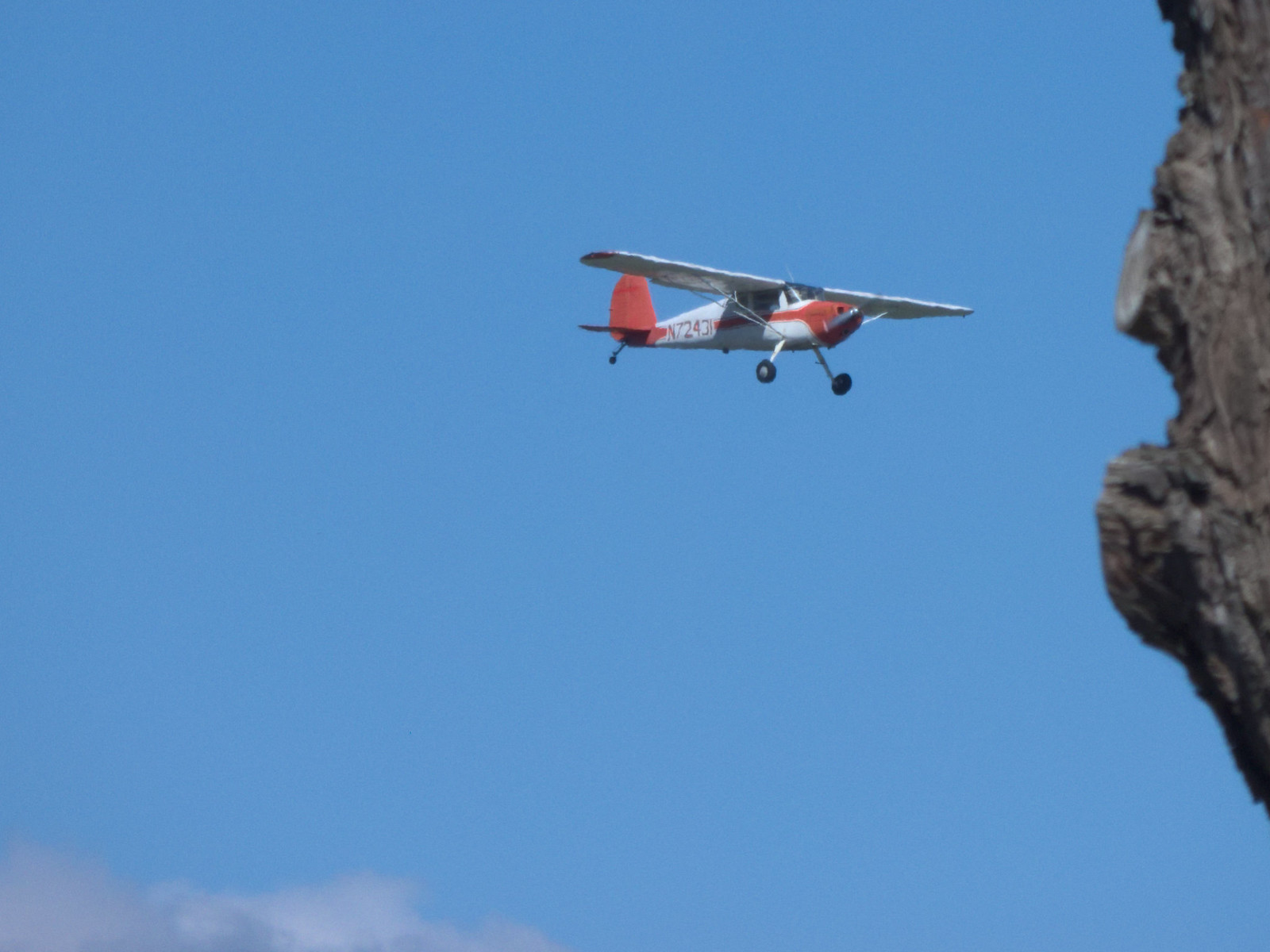 N72431 — Single-engine aircraft