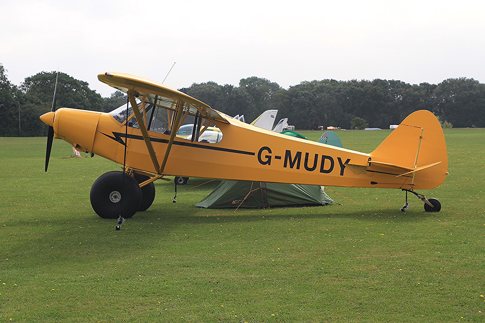 G-MUDY — Piper
