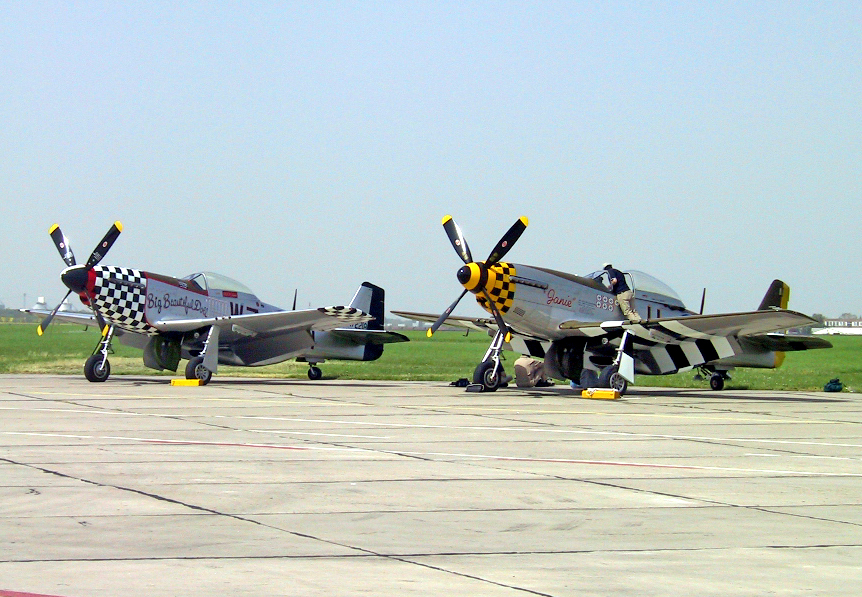  — Warbird