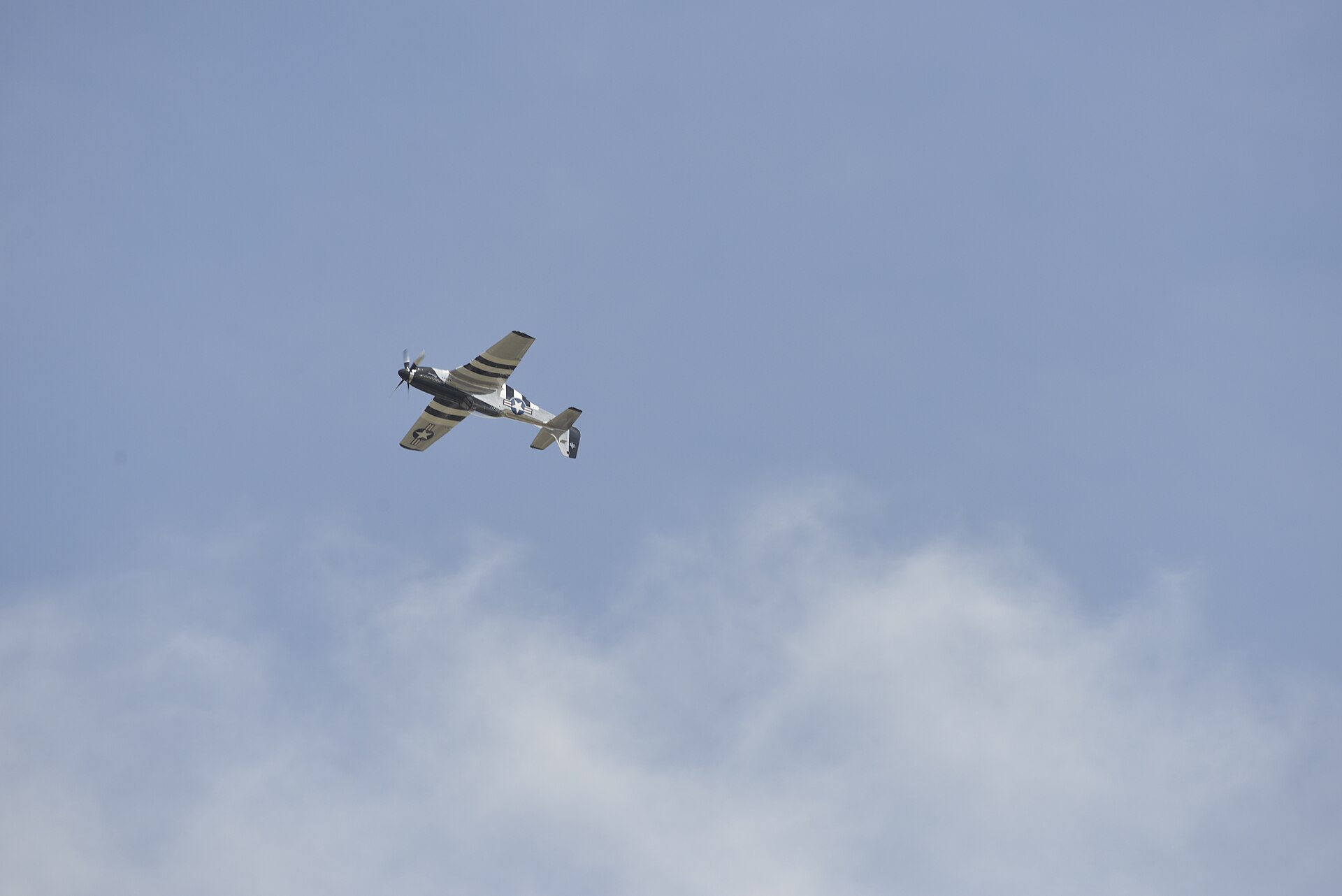  — Warbird