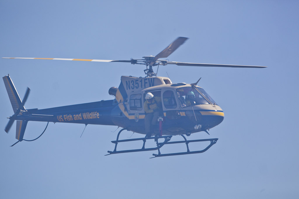 N351FW — Airbus